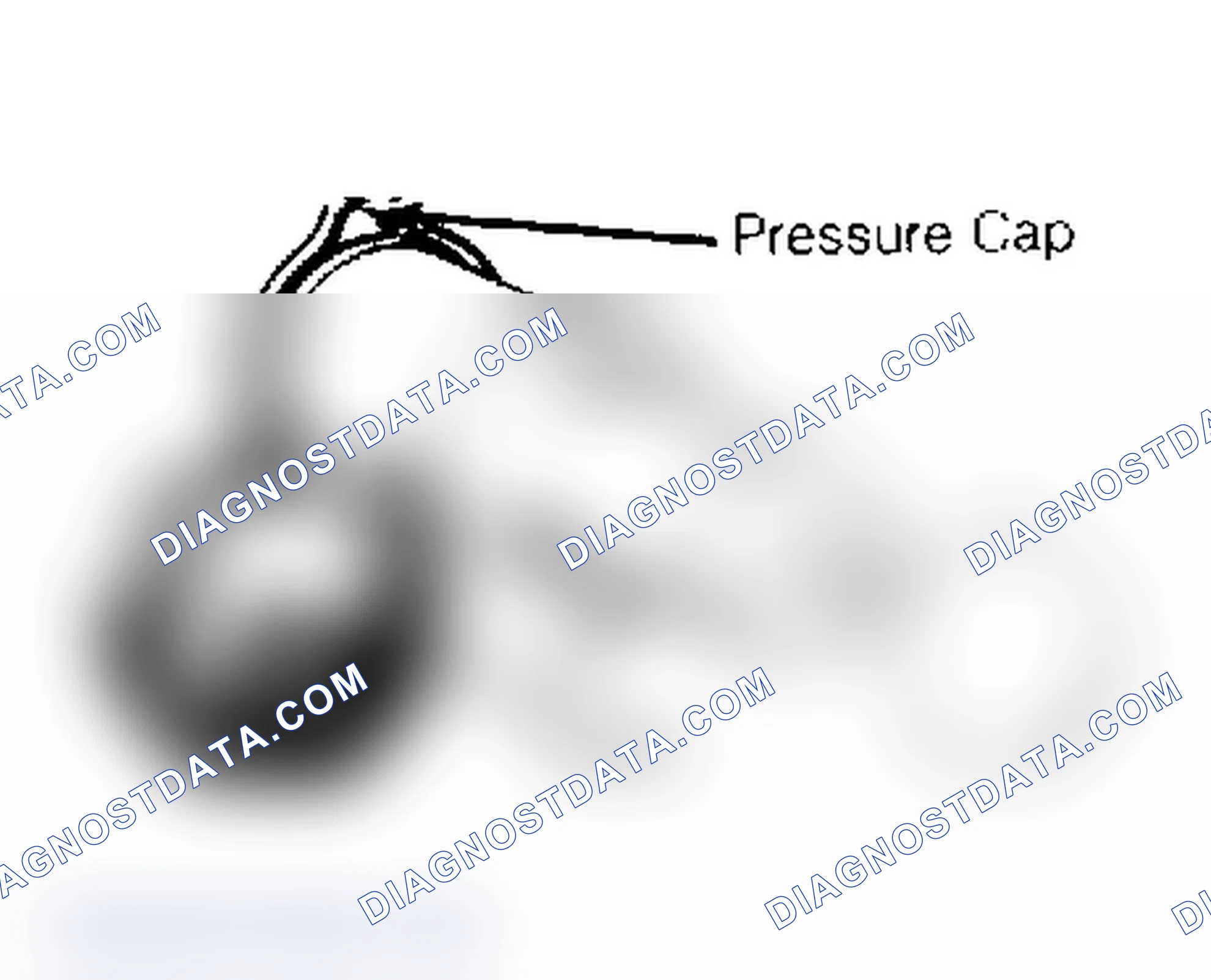 Scheme 2: RADIATOR CAP