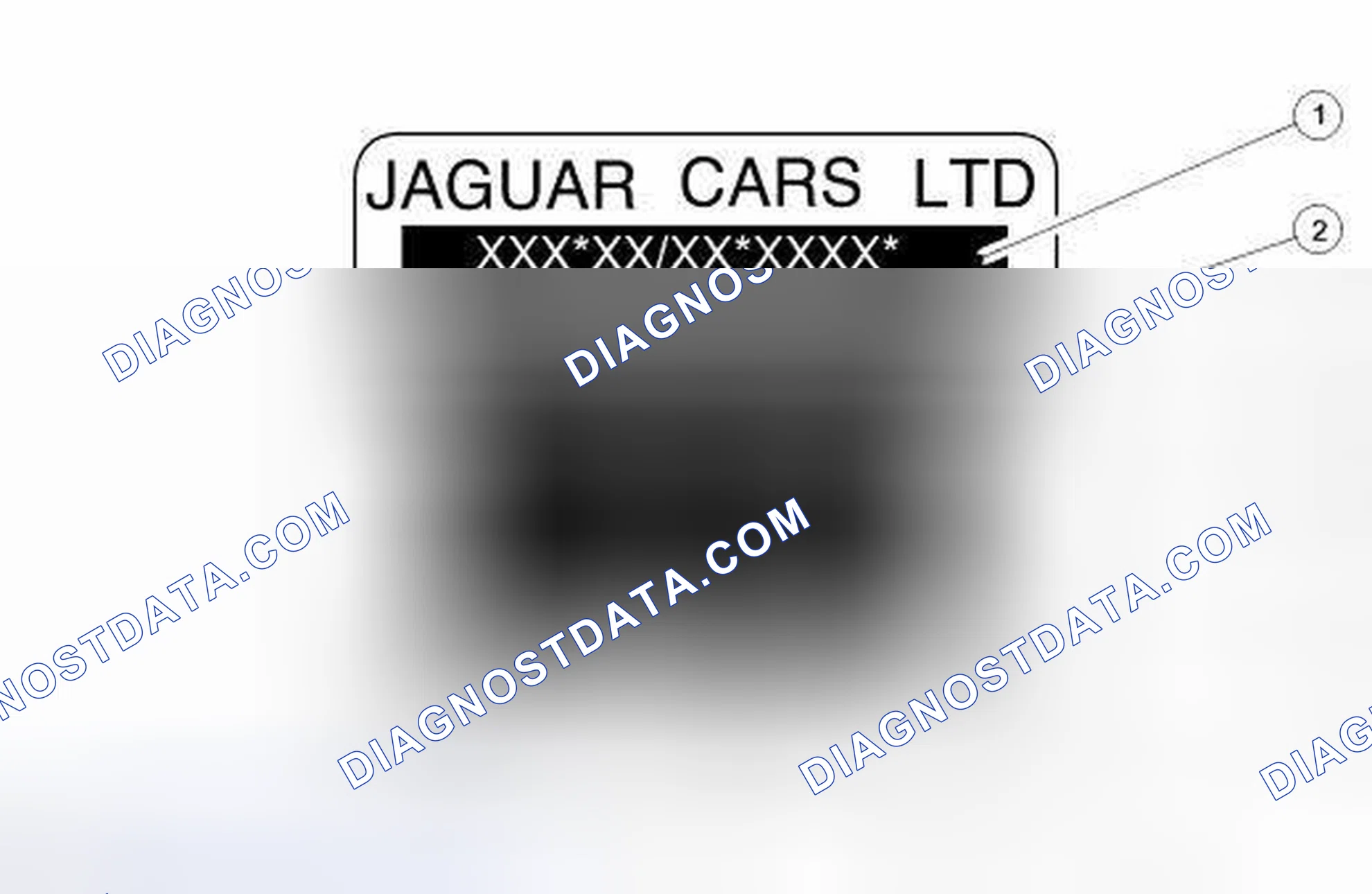Scheme 6: Vehicle Certification Label