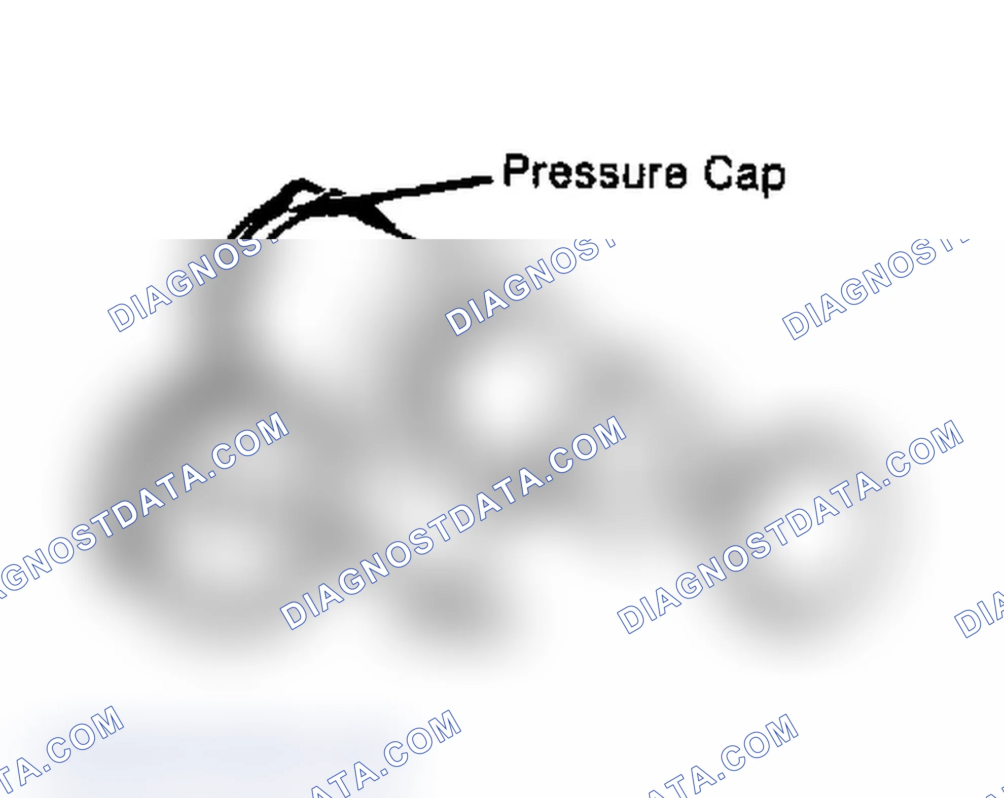 Scheme 2: Testing Radiator Pressure Cap Wet cap gasket before testing.