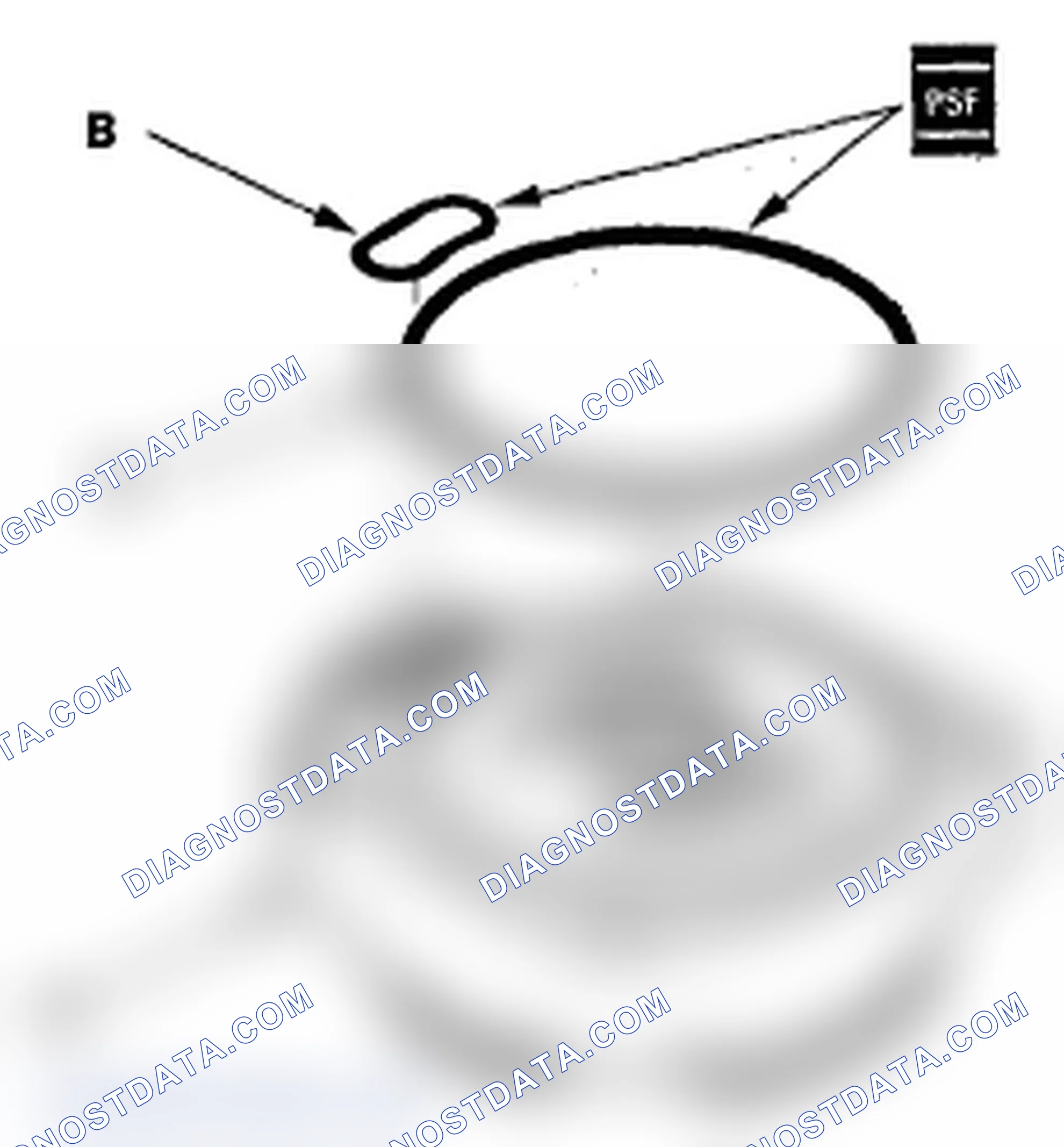 Scheme 25