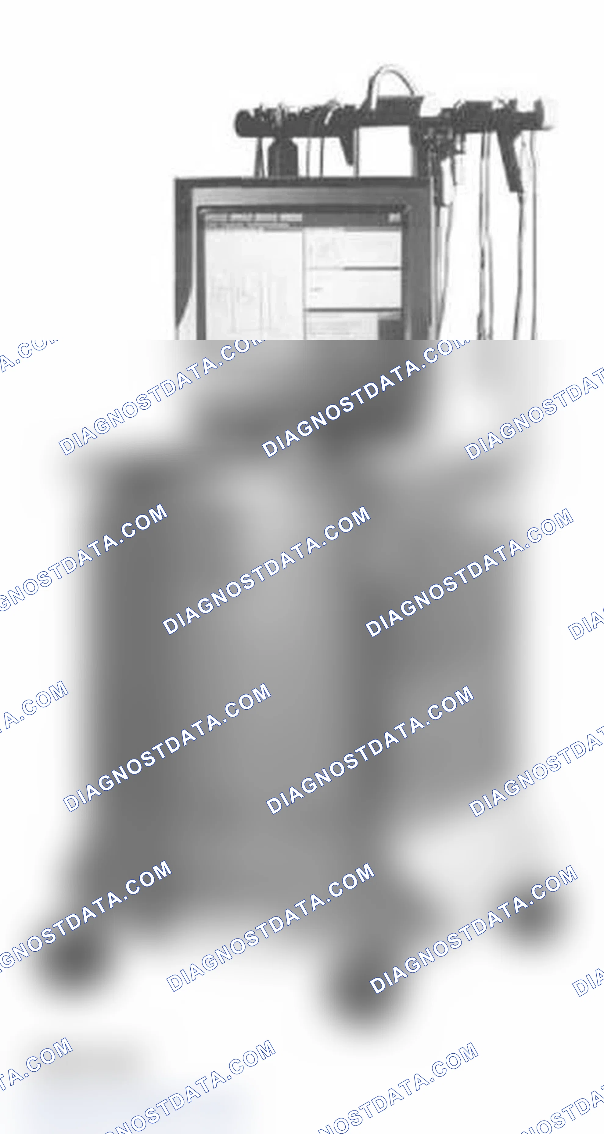 Scheme 55: With BMW Diagnosis Information System (DIS)