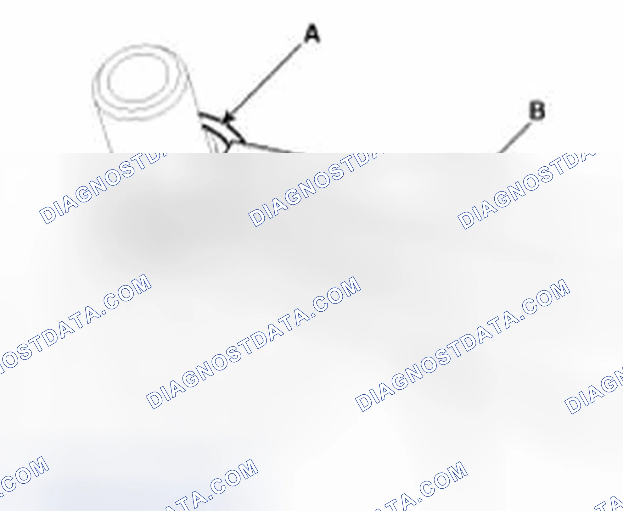 Scheme 20