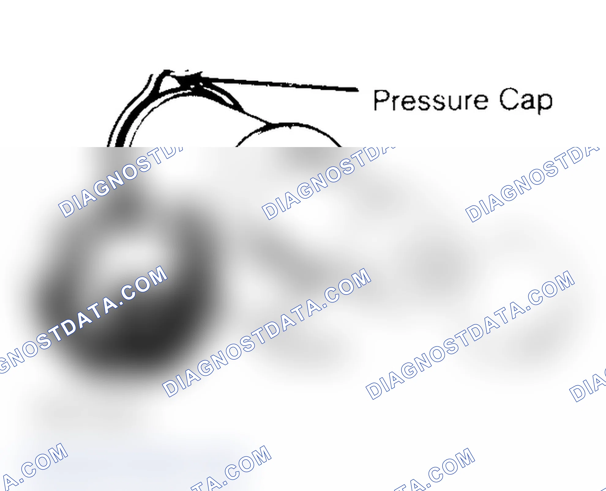 Scheme 2: Pressure Testing Radiator Cap