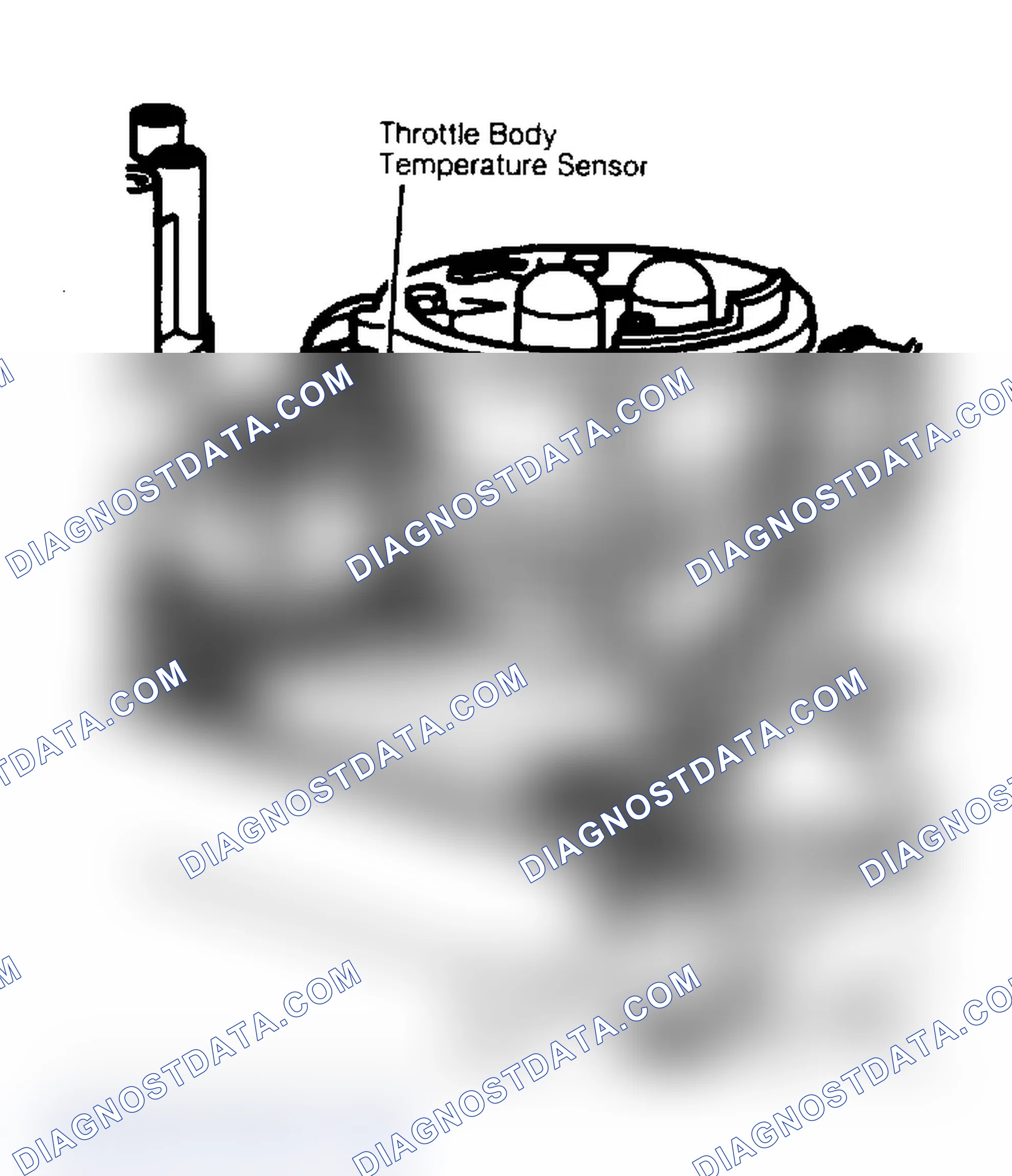 Scheme 310: DR16 (2 of 3) - Location Of Throttle Body Temperature Sensor