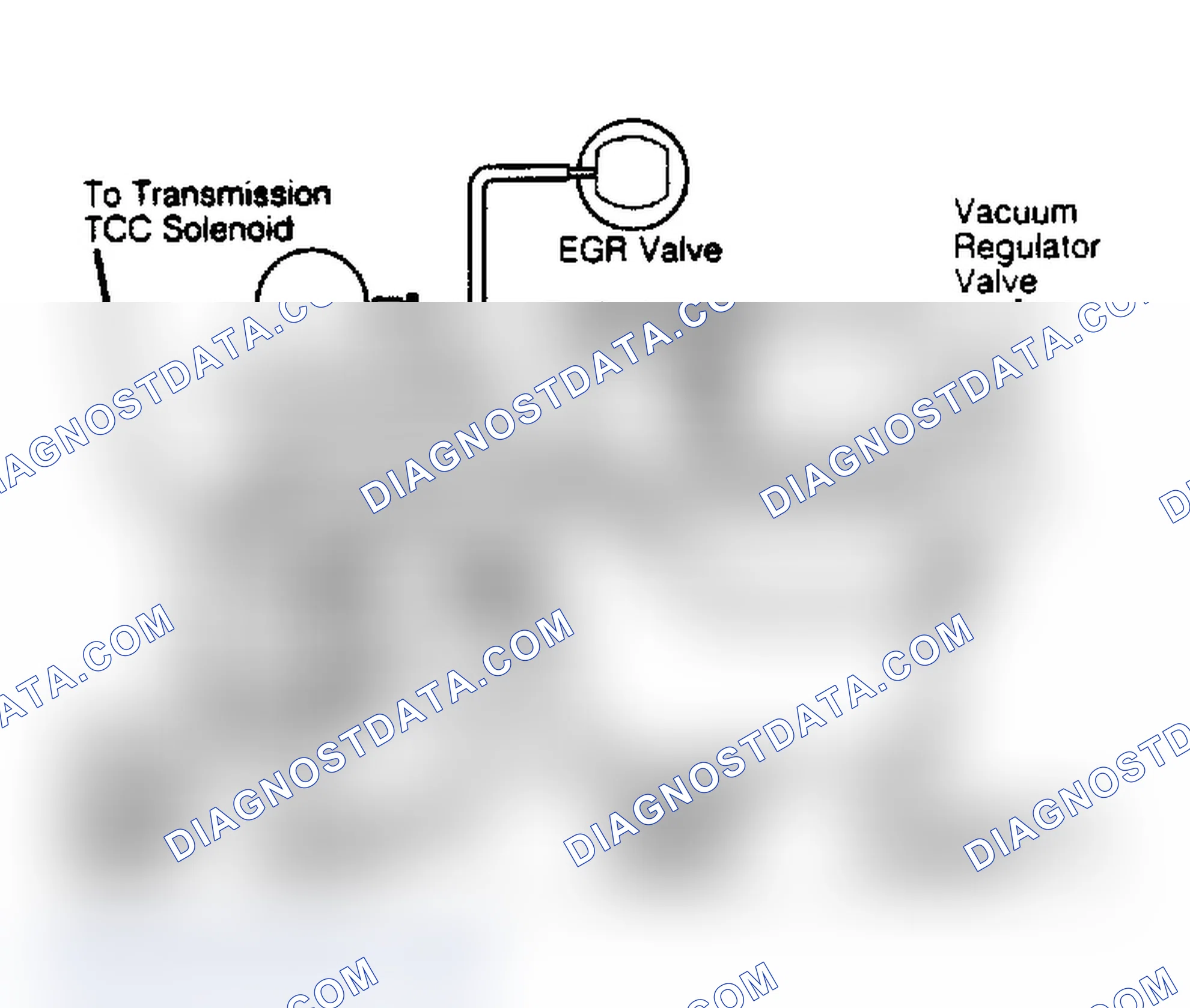 Scheme 74: EGR System Vacuum Diagram (V8 Diesel)