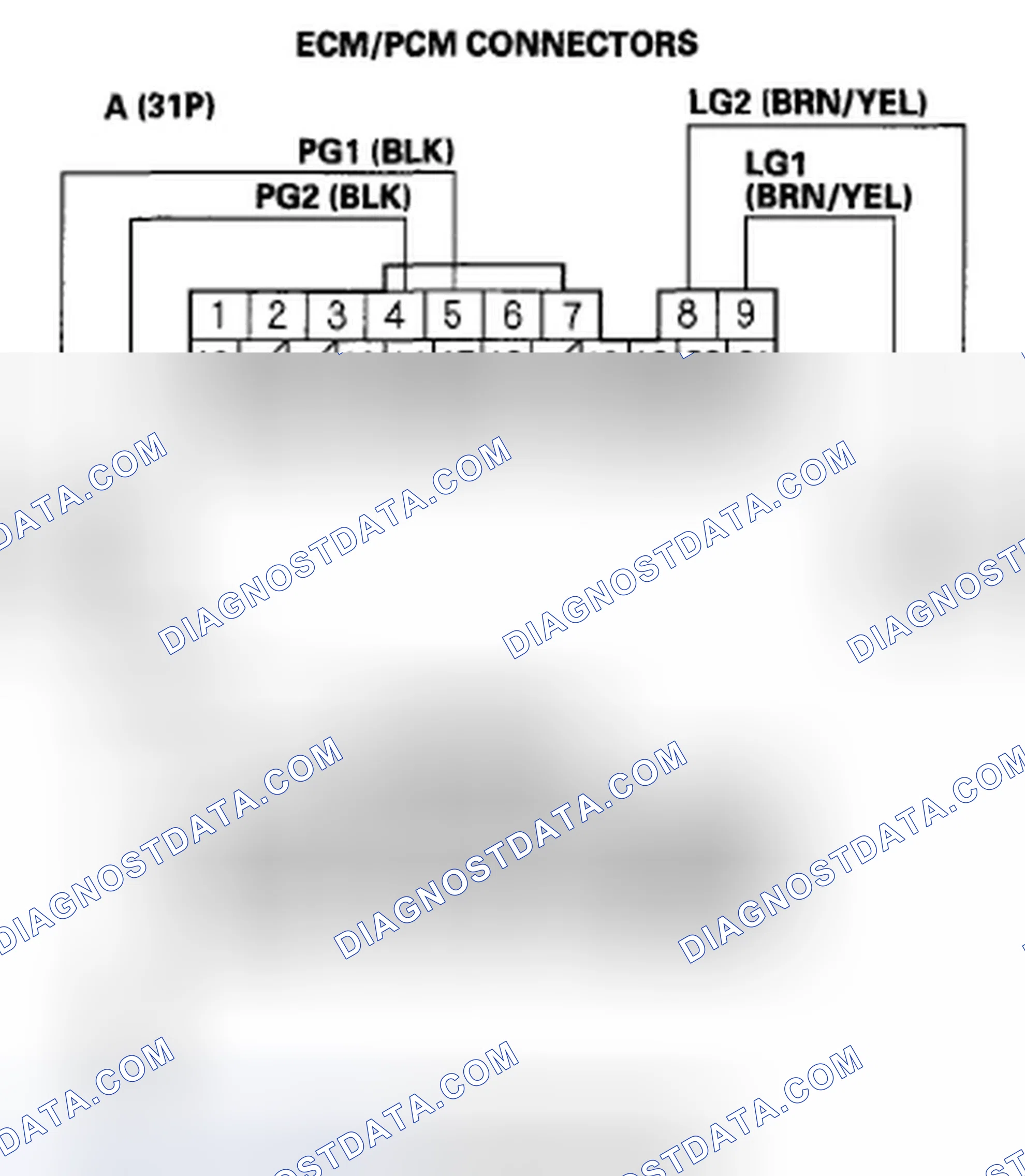 Scheme 458