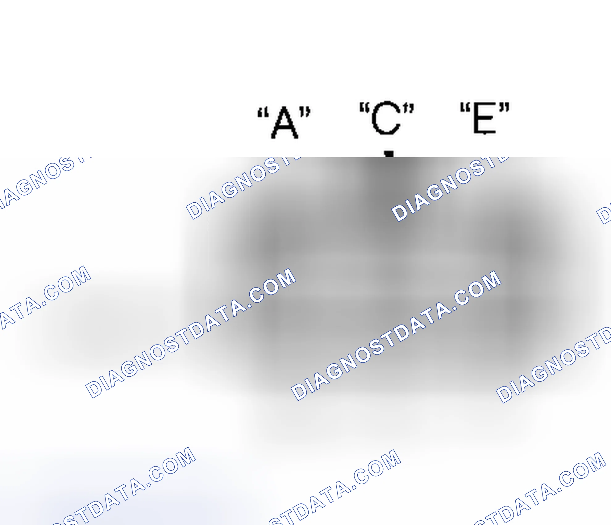 Scheme 12: No Fuel Pressure Test (1.8L)