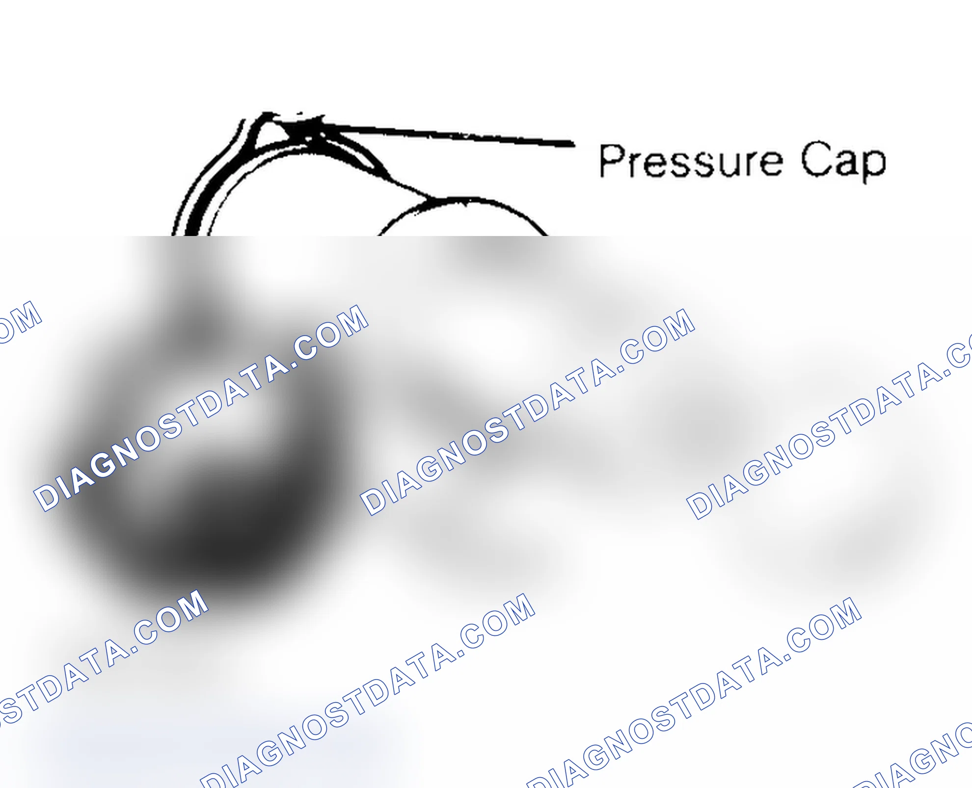 Scheme 2: Pressure Testing Radiator Cap