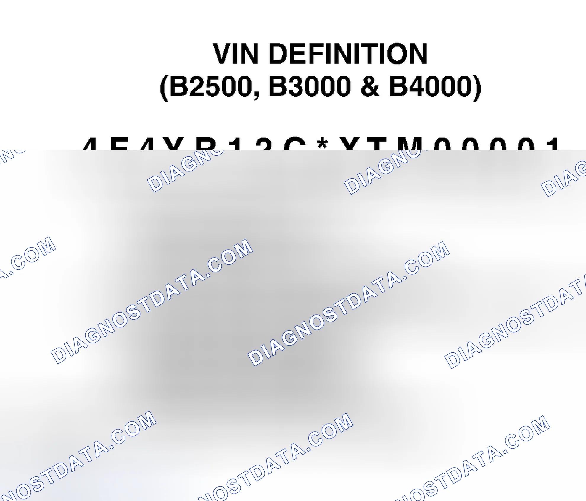 Scheme 2: VIN Definition (B2500, B3000 & B4000)