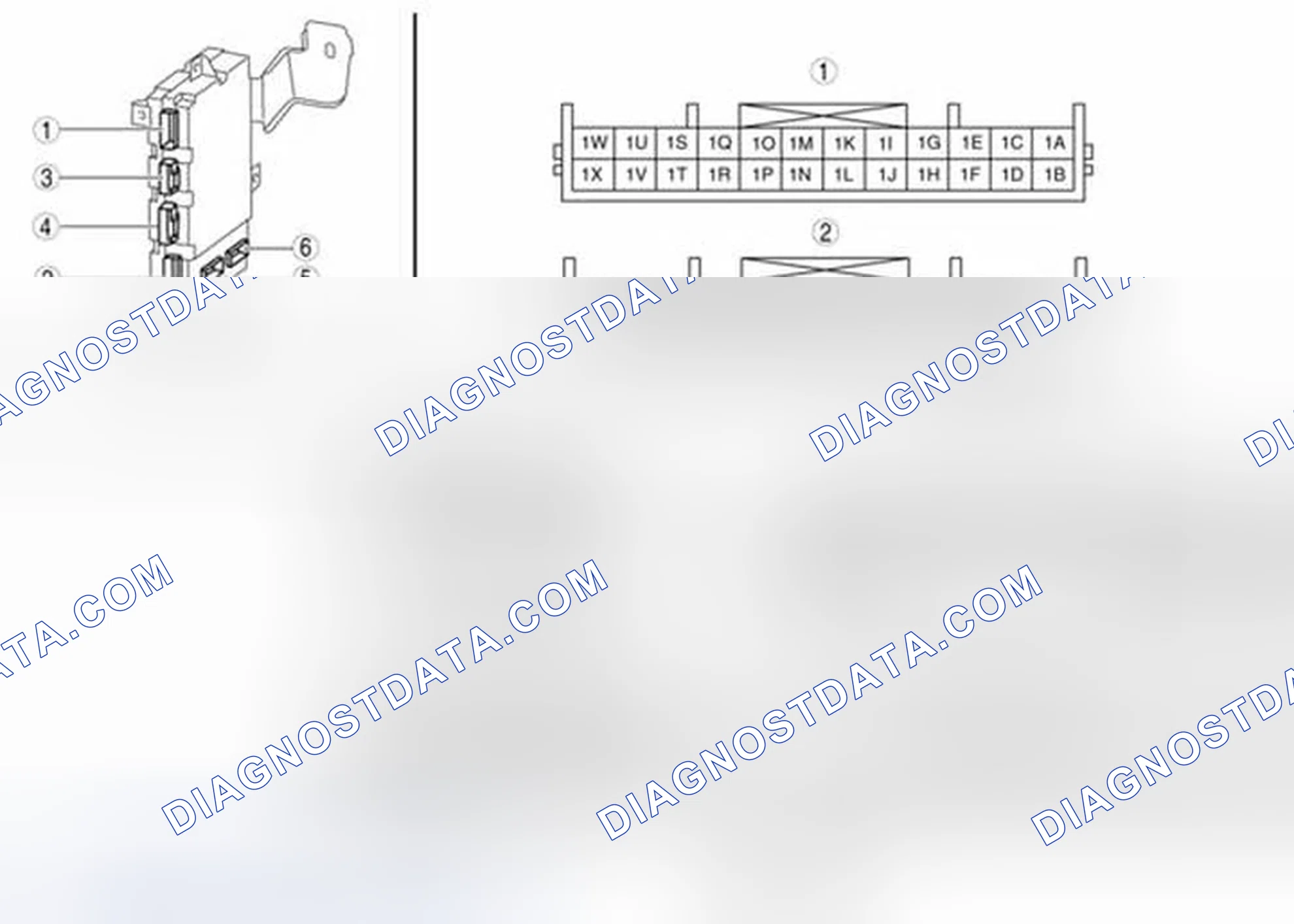 Scheme 78: Identifying BCM Connector Terminals
