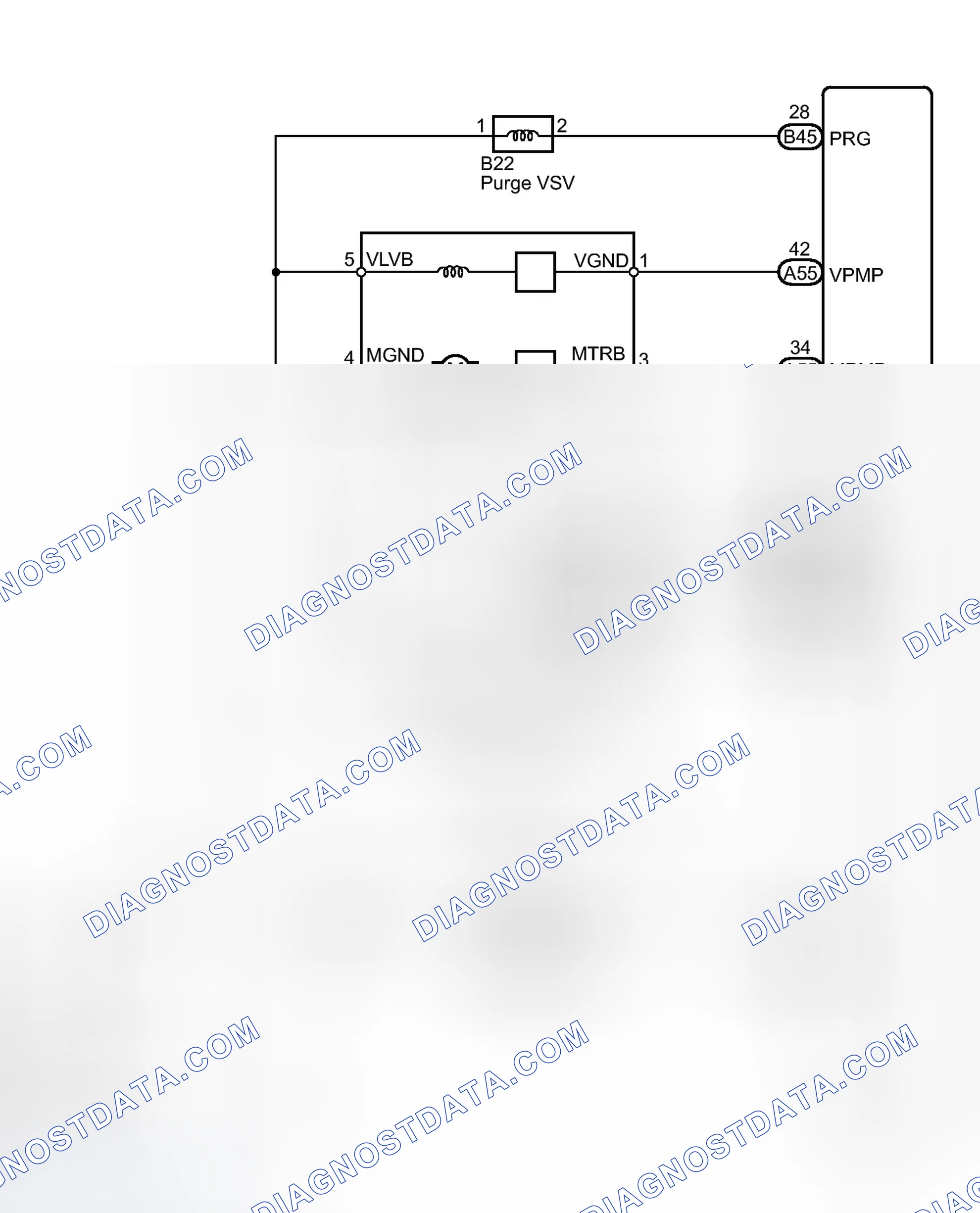 Scheme 439: WIRING DIAGRAM