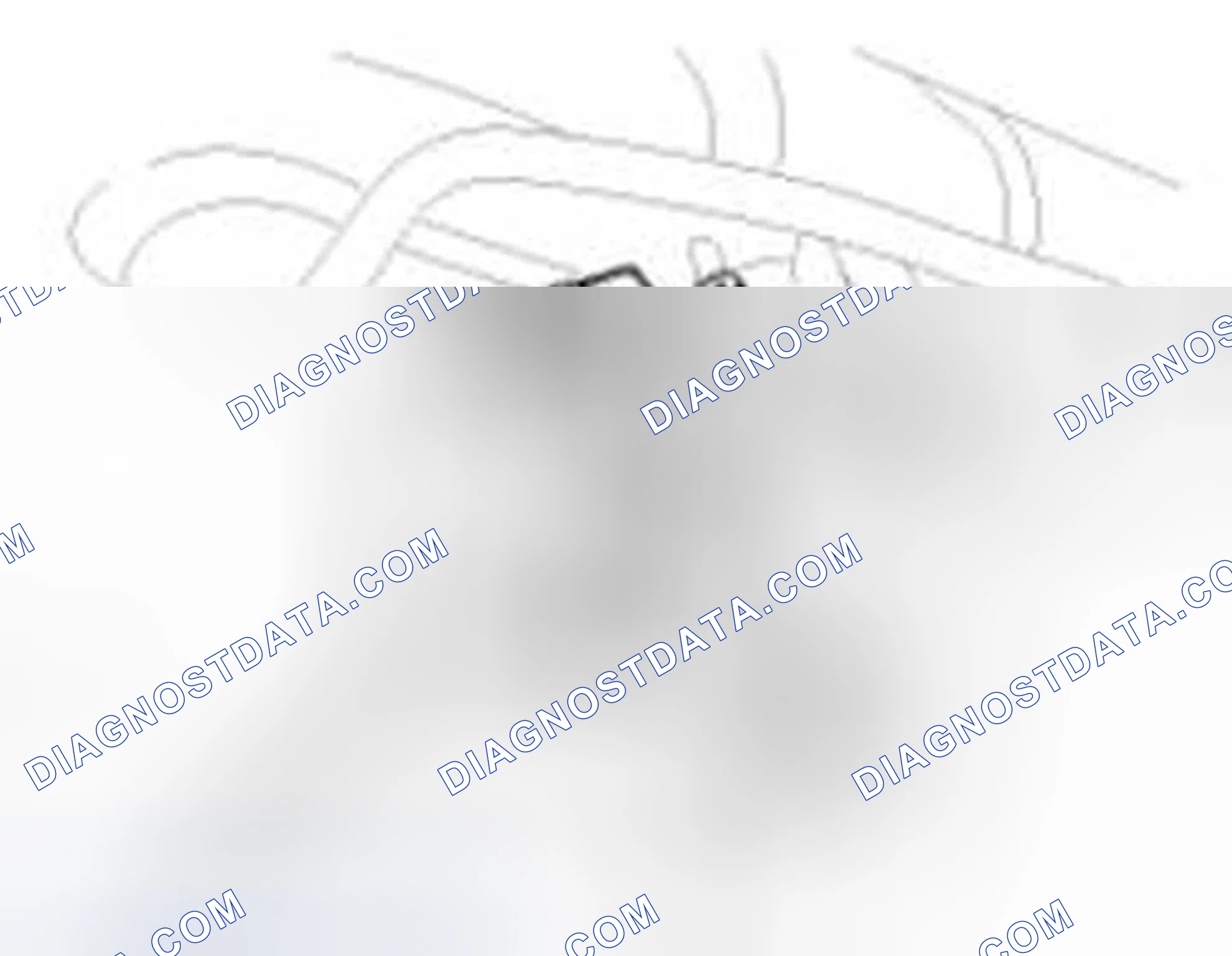 Scheme 13: PCSV Inspection