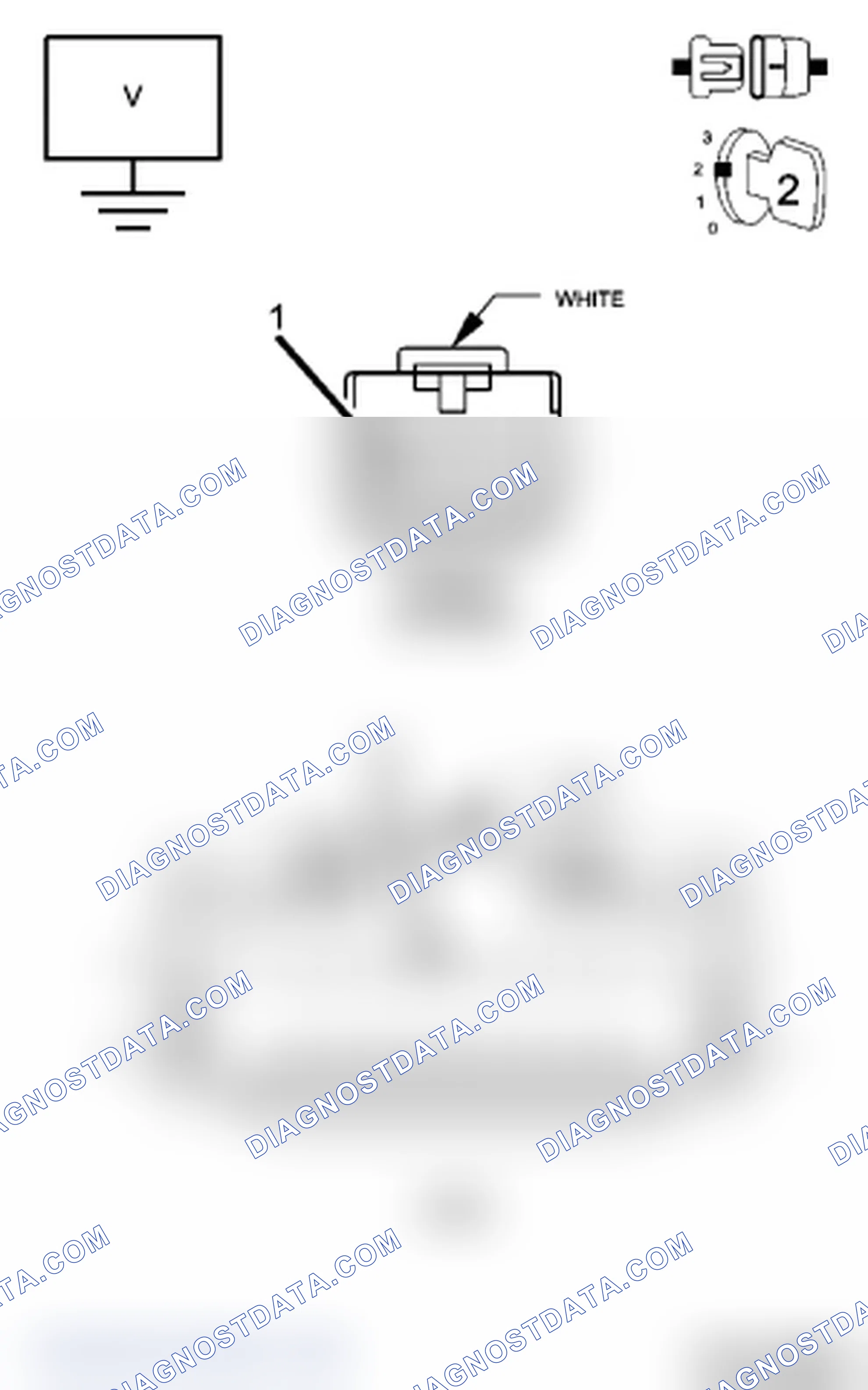 Scheme 24: Diagnostic Test
