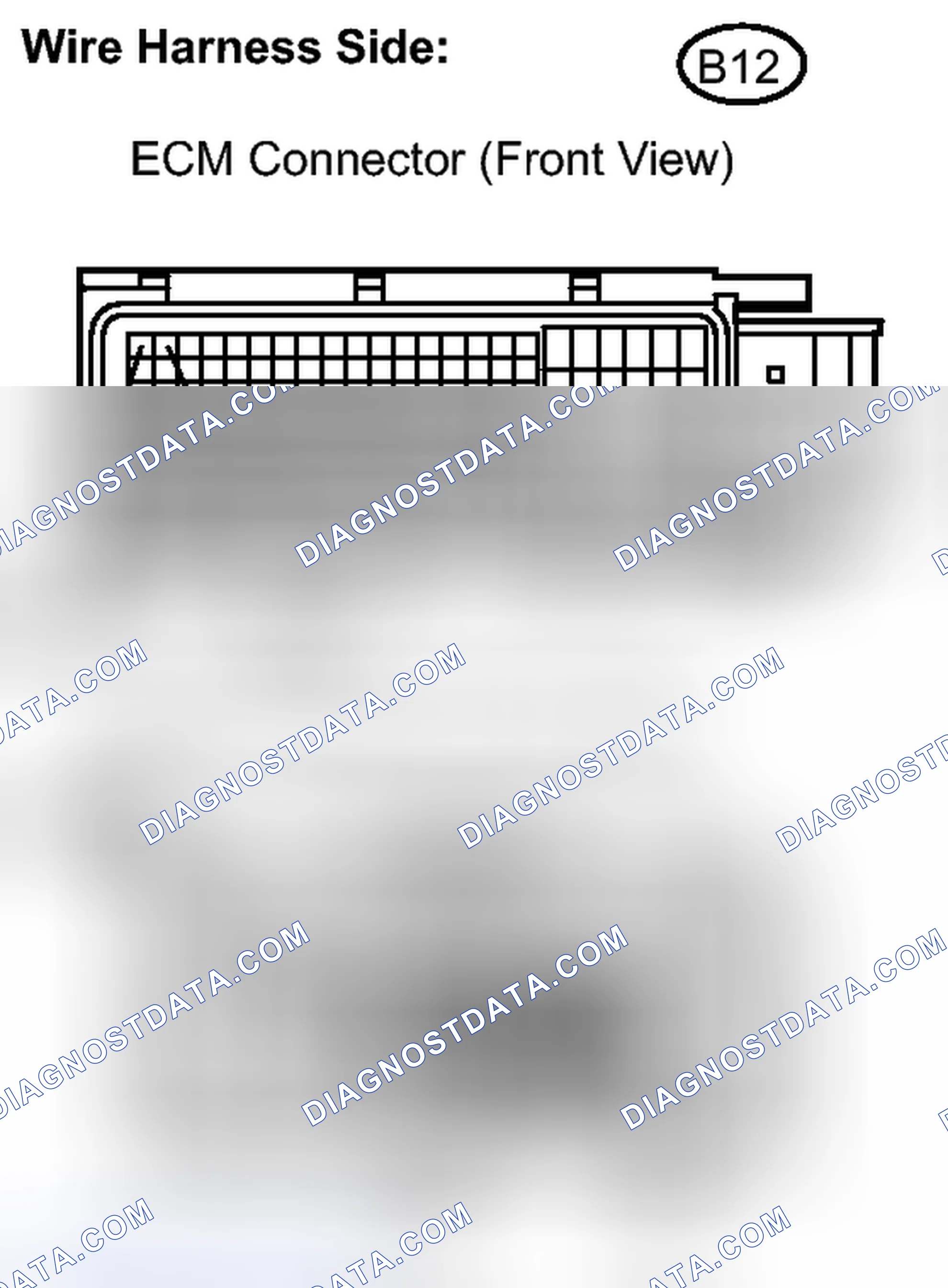 Scheme 493