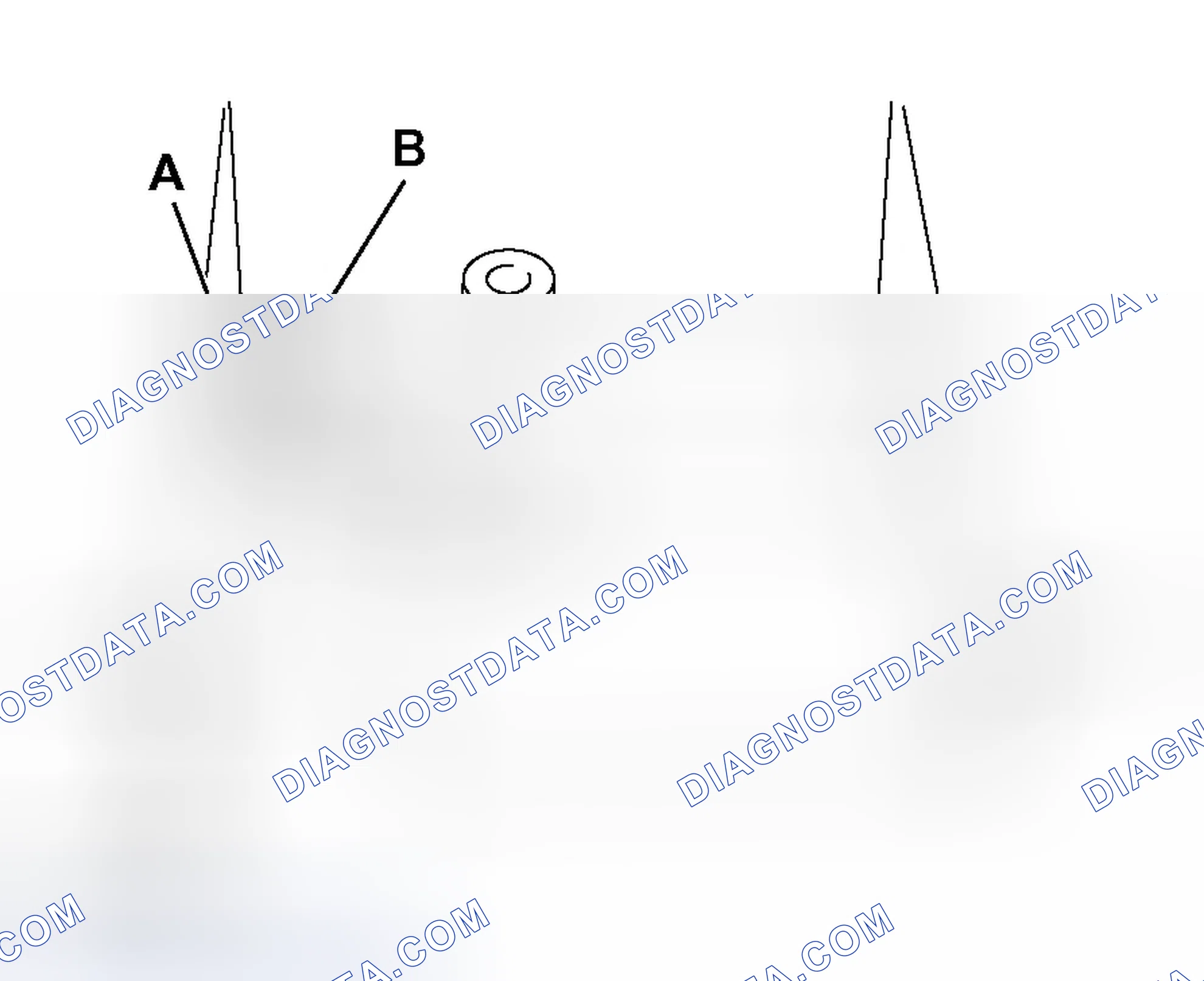 Scheme 17: >> D << TIMING BELT TENSIONER ADJUSTER INSTALLATION
