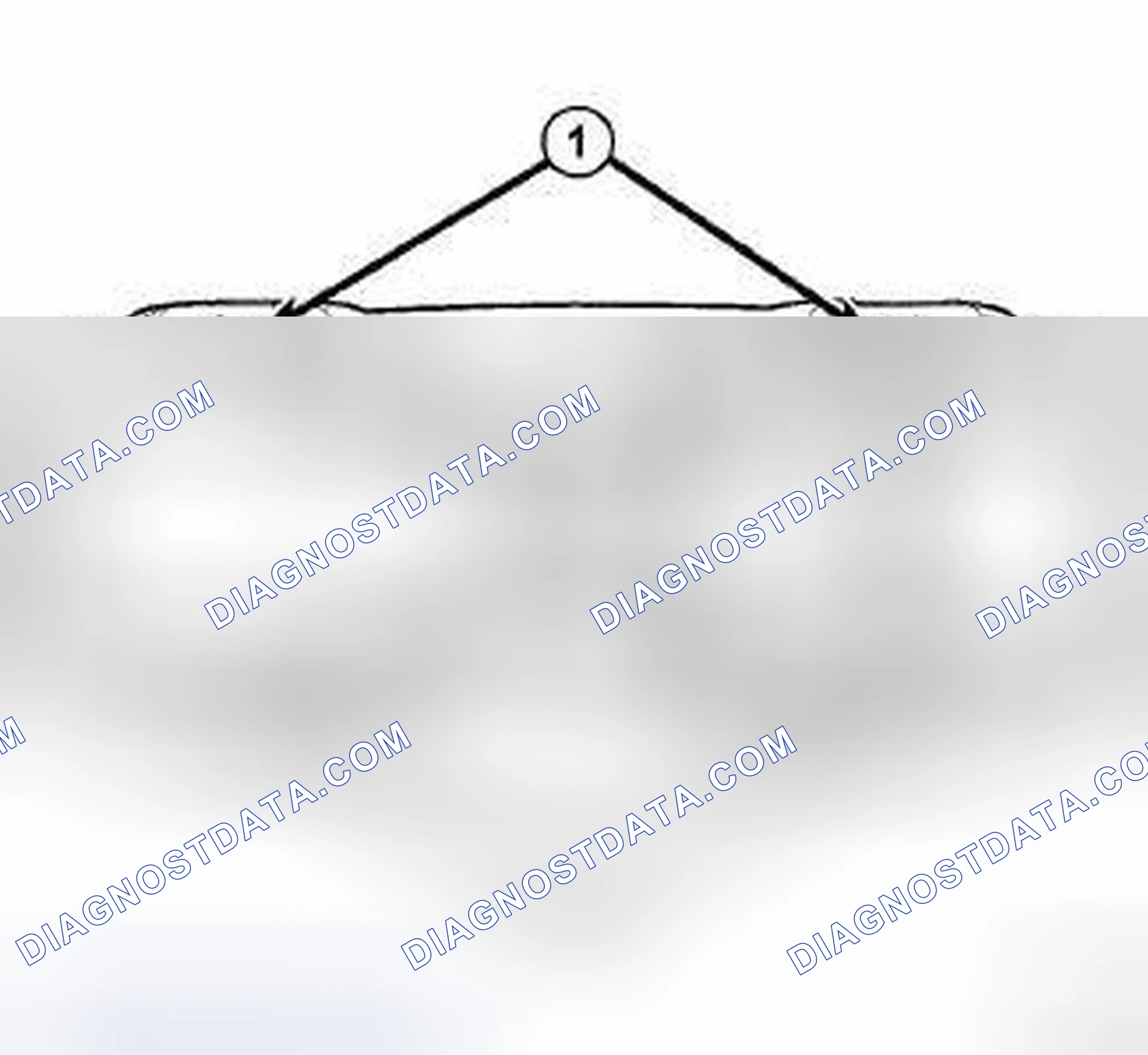 Scheme 2: STANDARD PROCEDURE - HOISTING