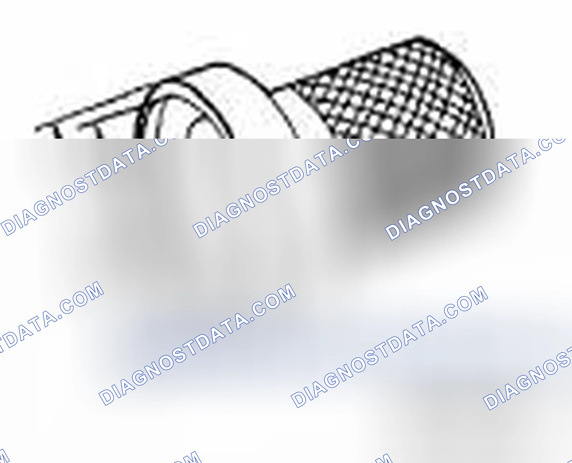 Scheme 207