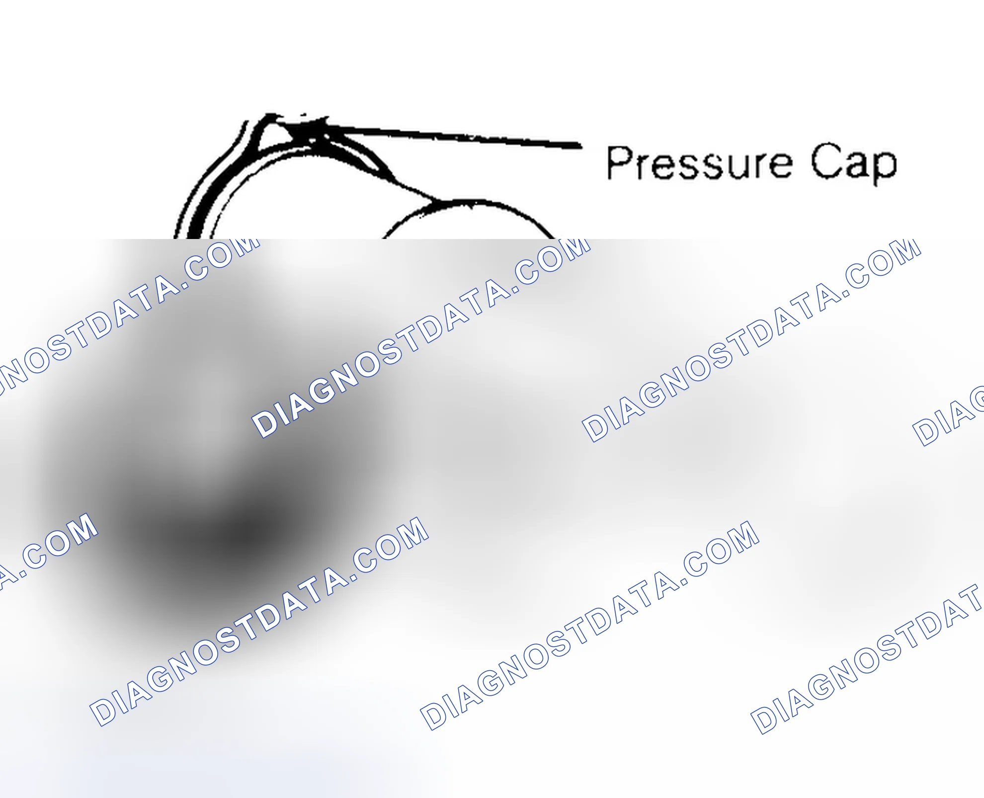 Scheme 2: Pressure Testing Radiator Cap