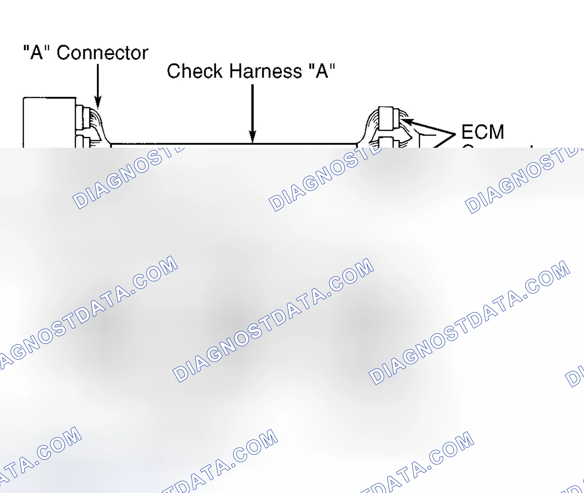 Scheme 5