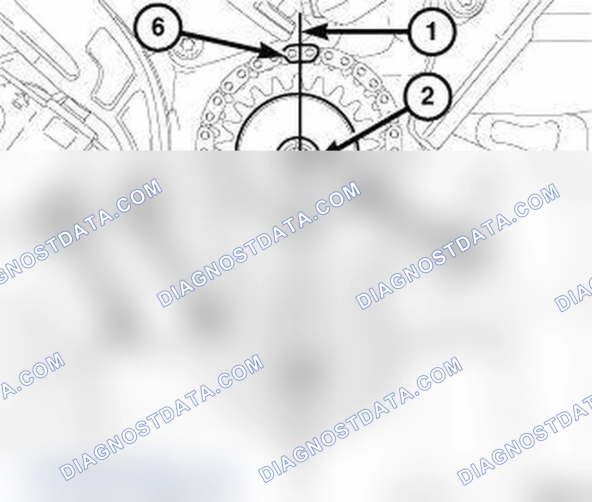 Scheme 315