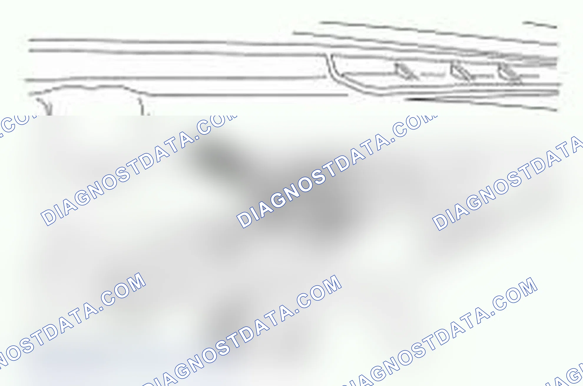 Scheme 19