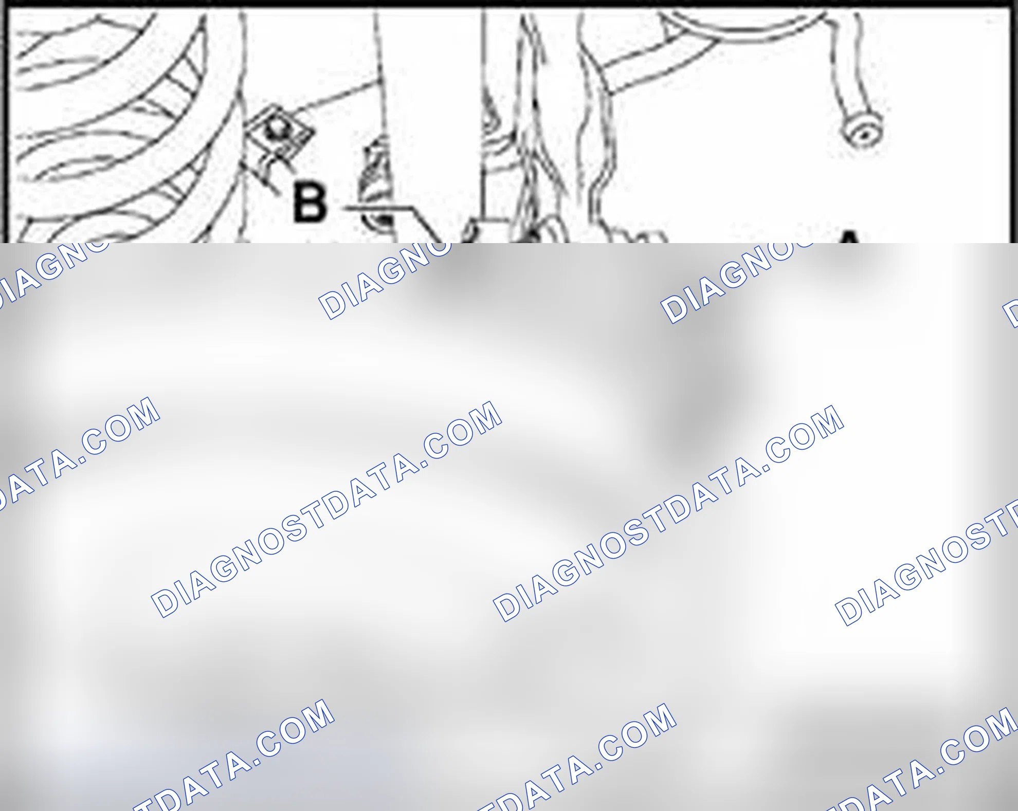 Scheme 349: Rear axle camber, adjusting