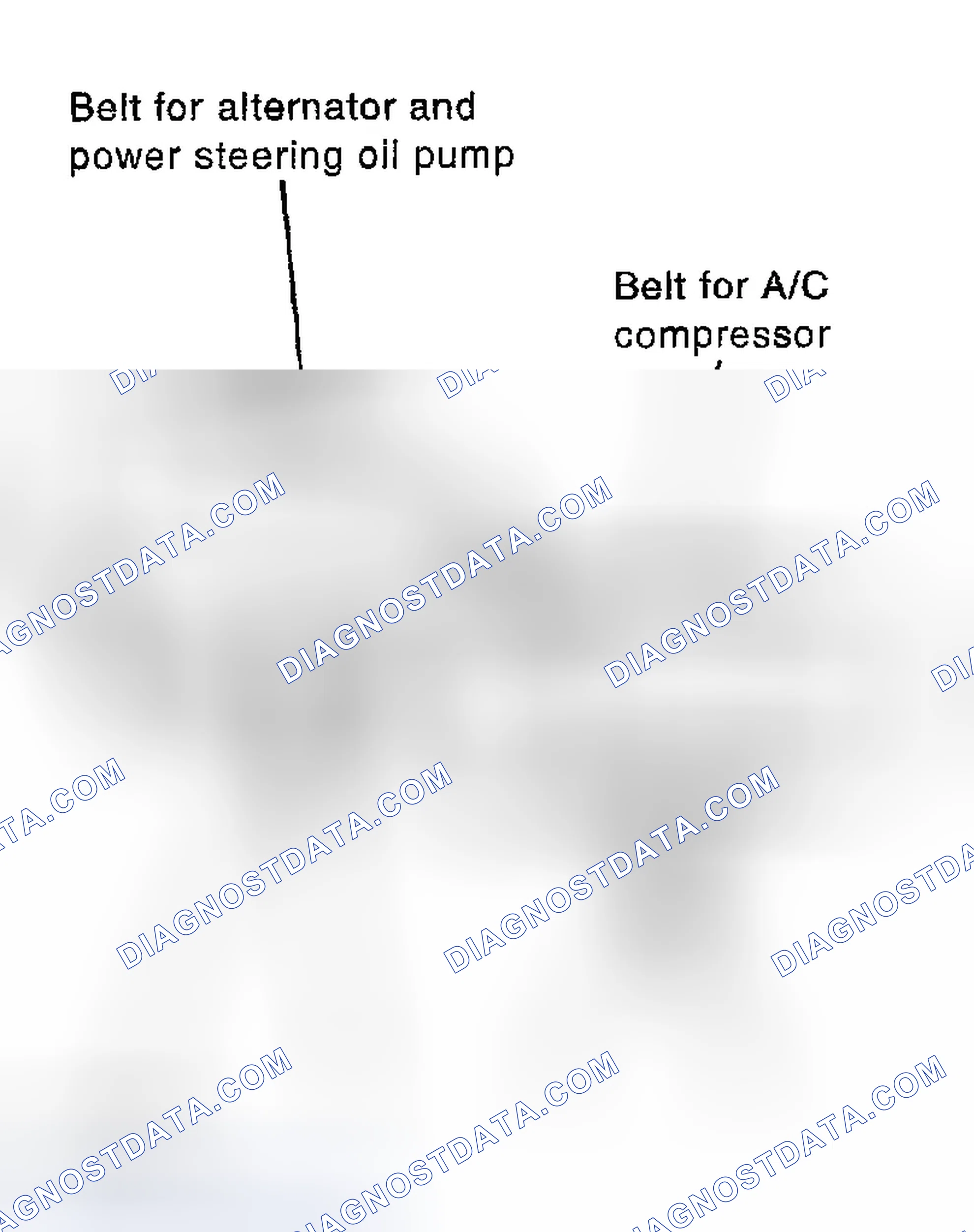 Scheme 5: ALTERNATOR AND POWER STEERING OIL PUMP BELT