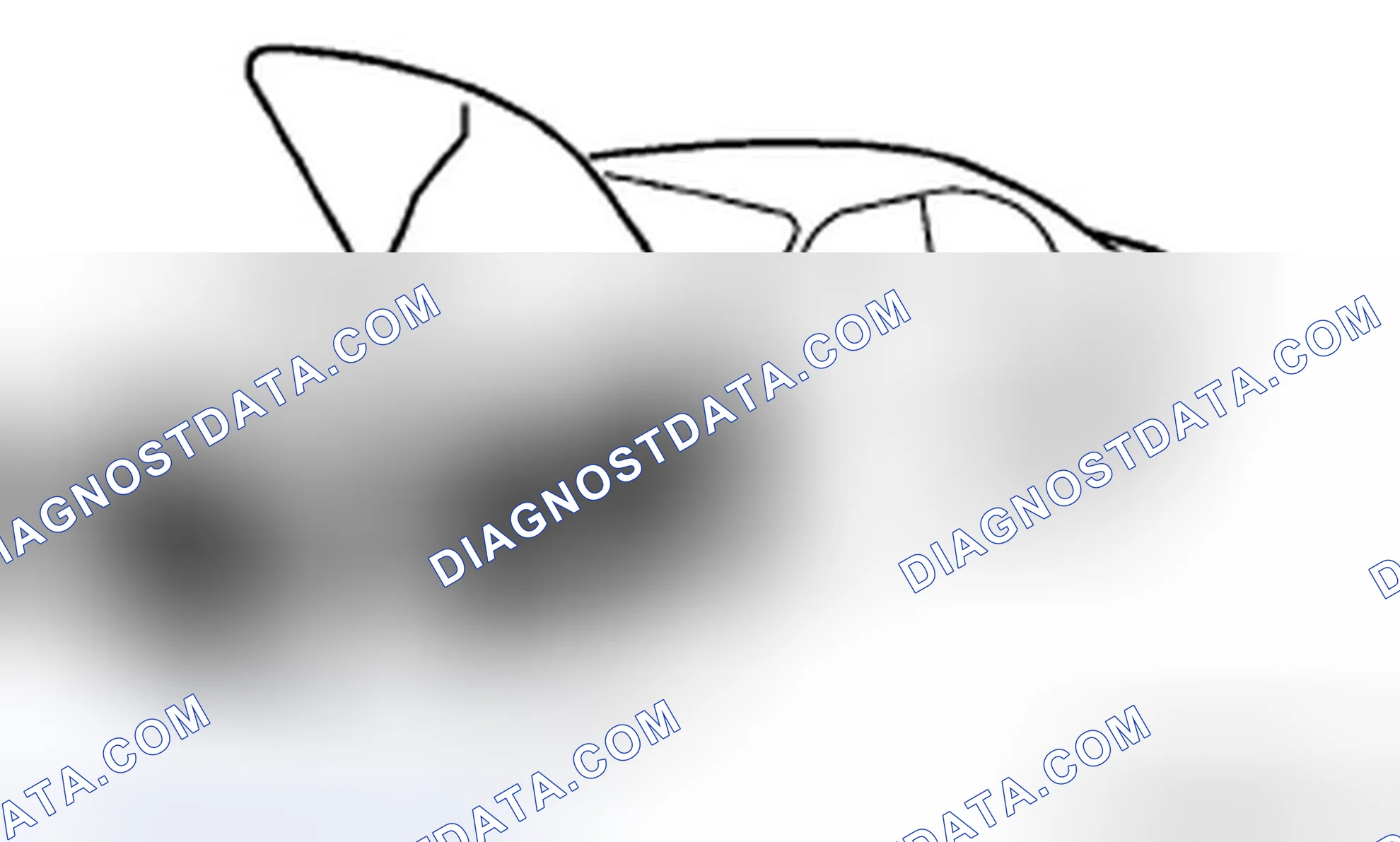 Scheme 29: Protection of the Vehicle