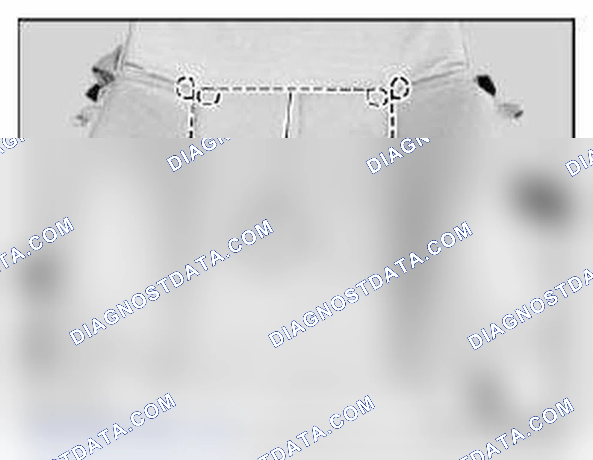 Scheme 118