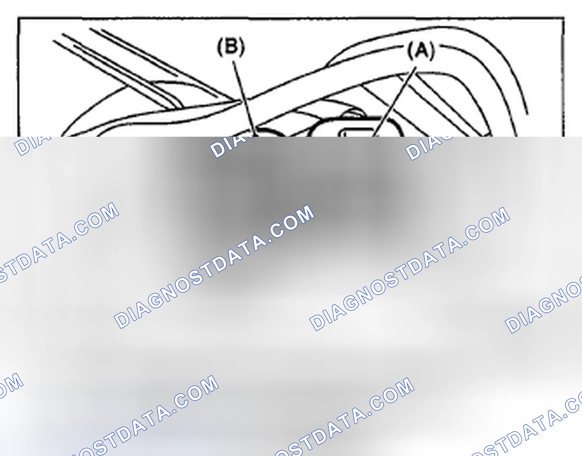 Scheme 323