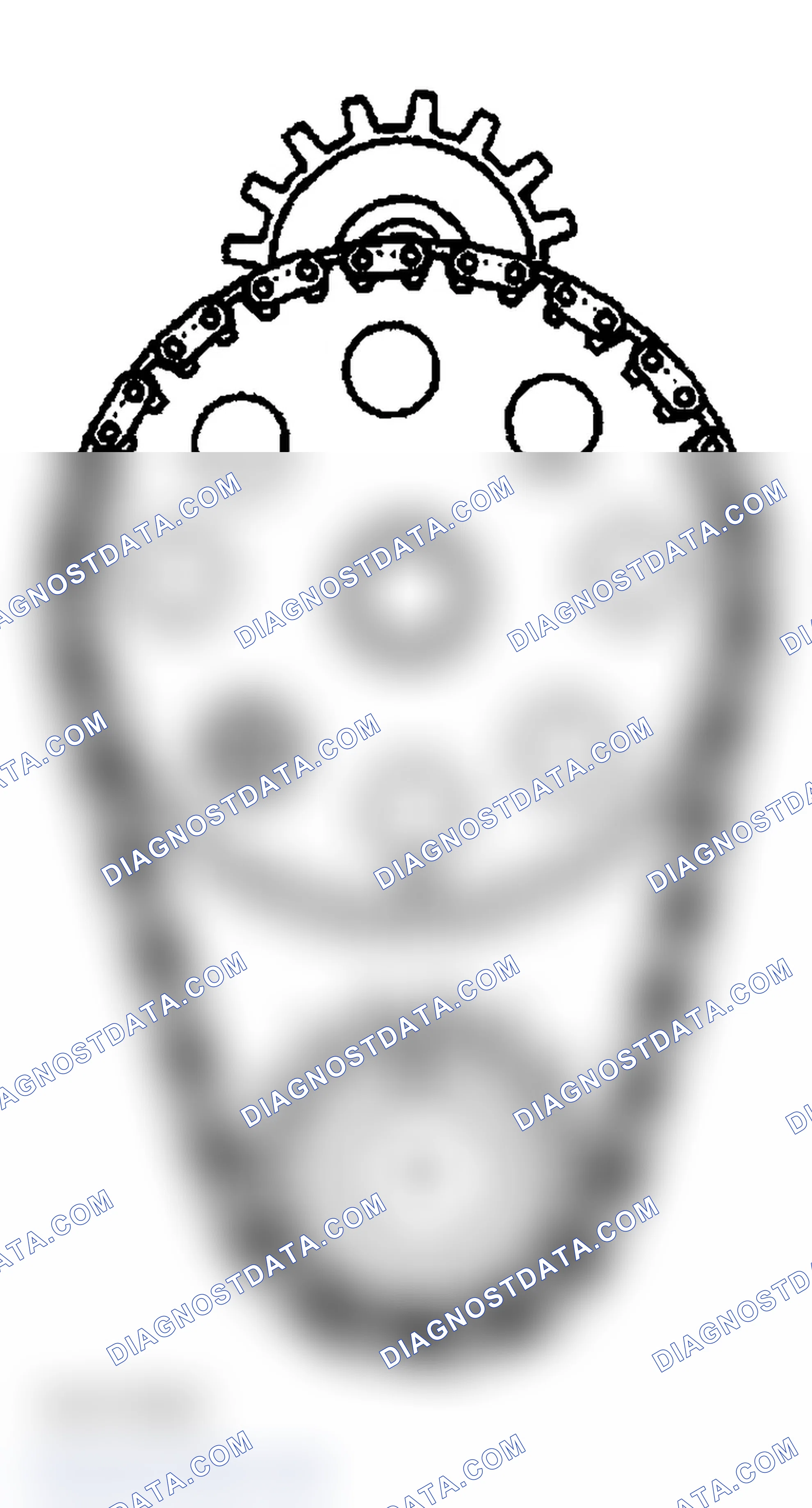 Scheme 314: Timing Chain & Sprockets Installation (L36)