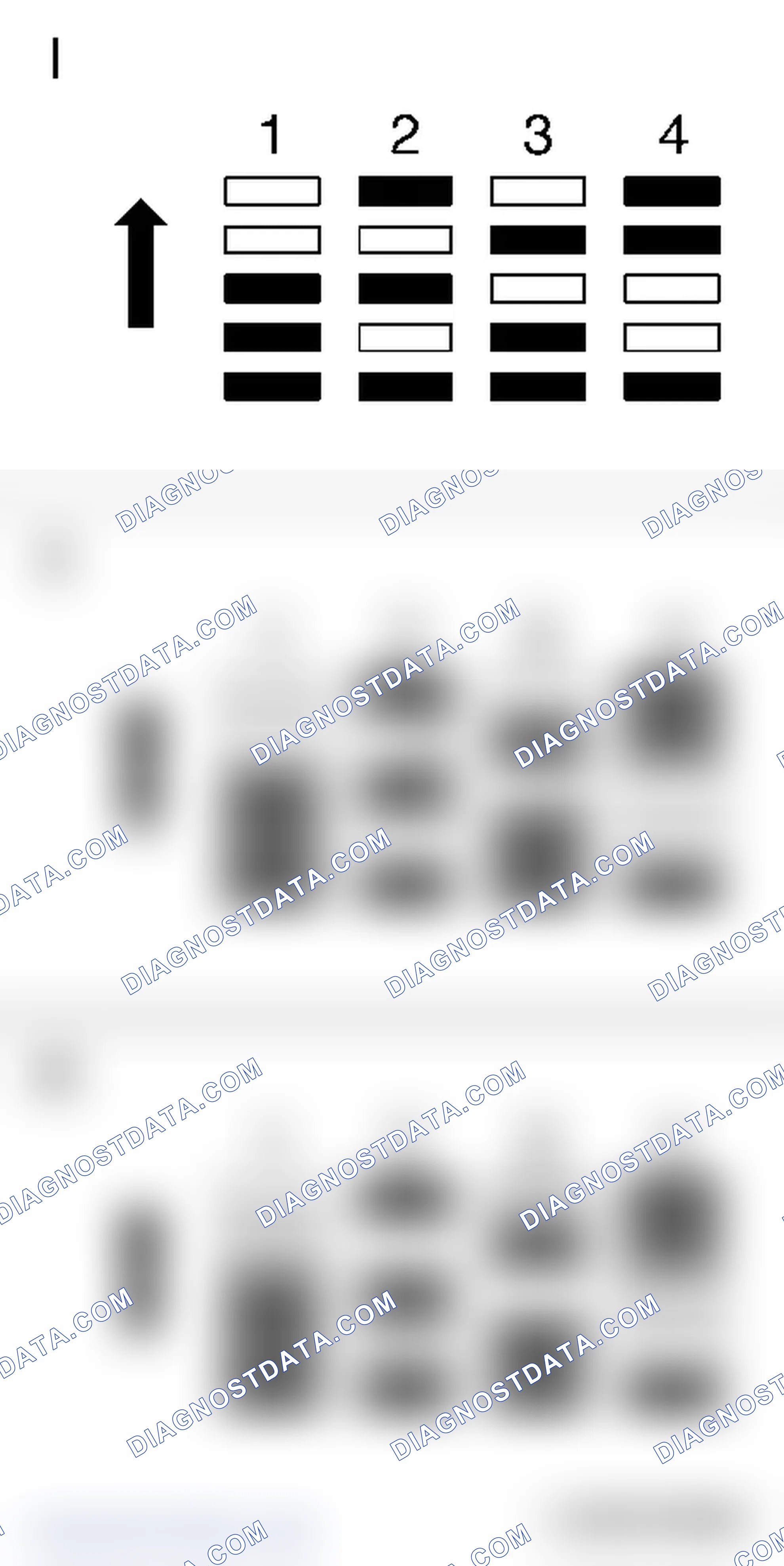 Camshaft Marking