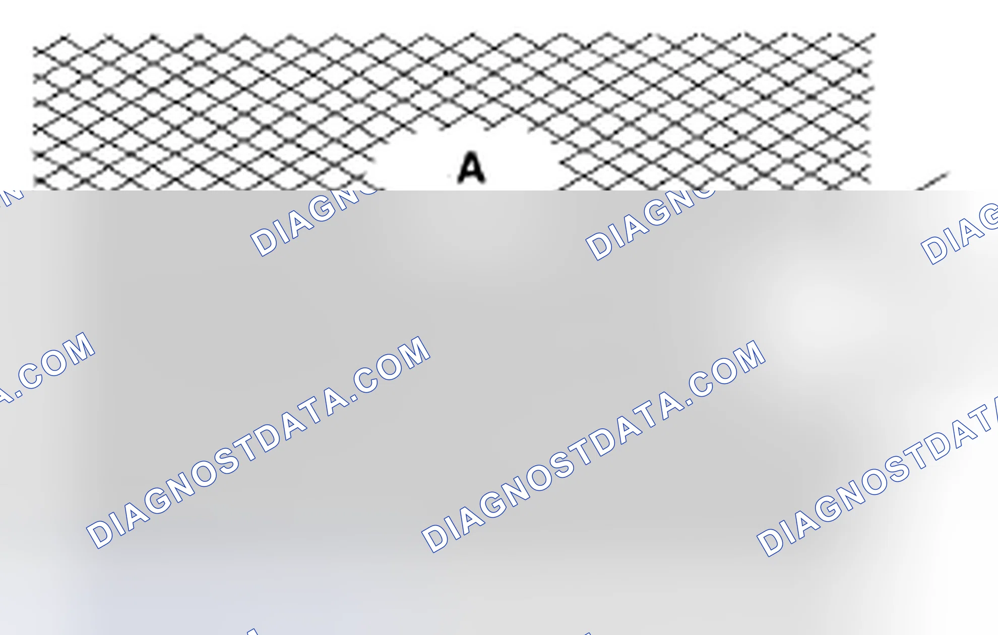 Scheme 351: Cylinder Bore Honing