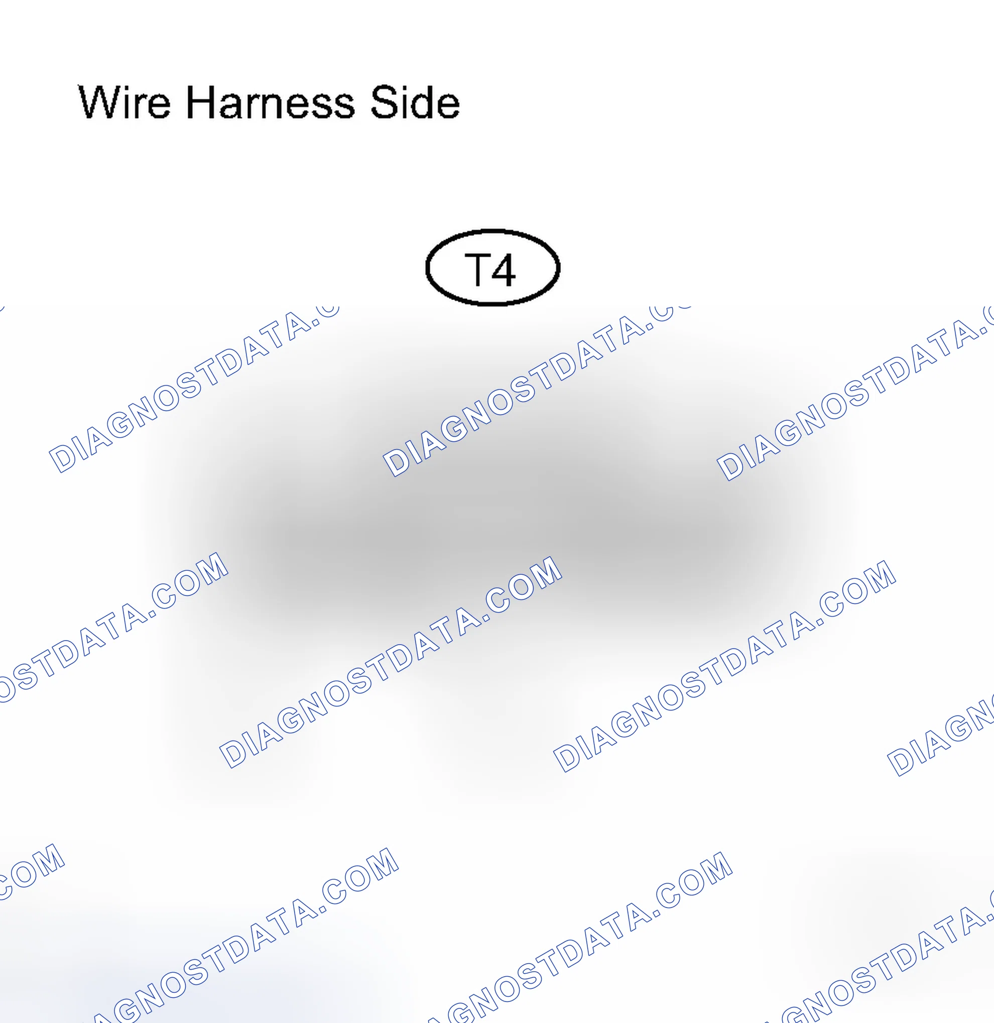 Scheme 115: INSPECTION PROCEDURE