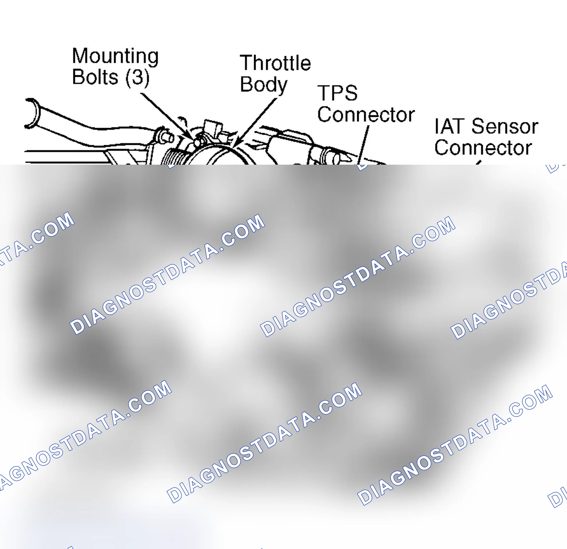 Scheme 1024: INTAKE AIR TEMPERATURE SENSOR