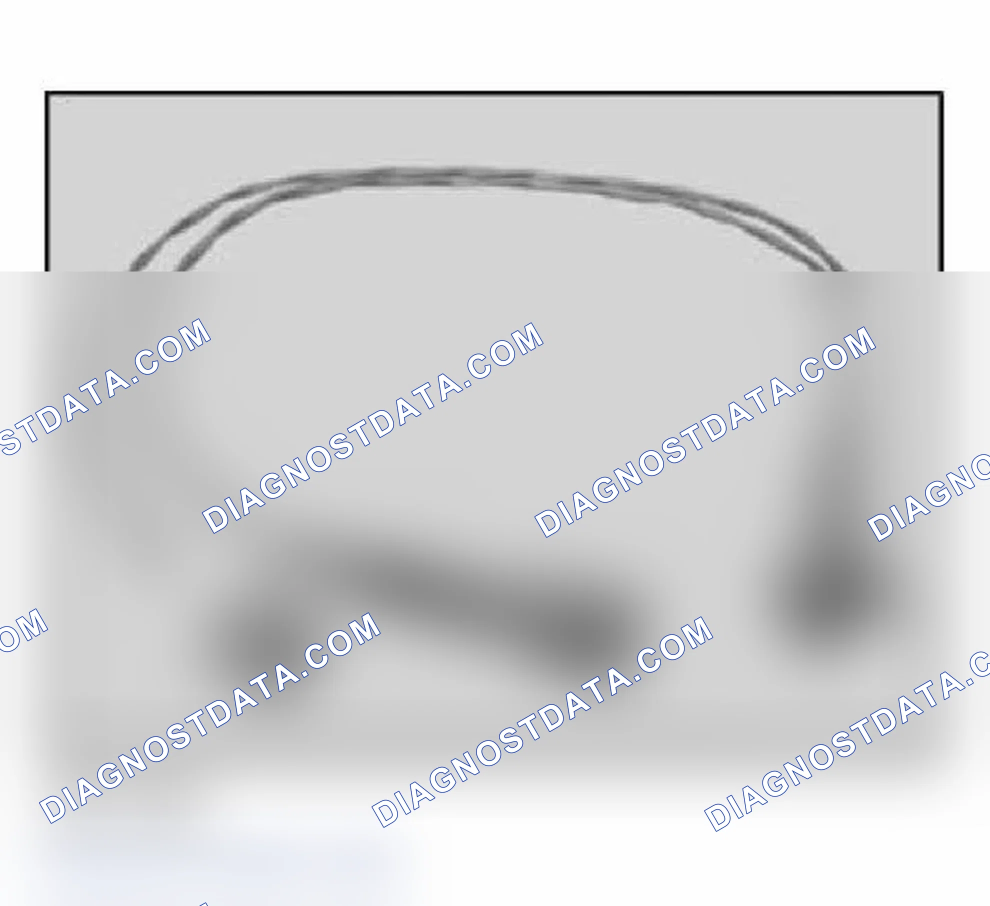 Scheme 21: 61 4 370 V-adapter lead (2-pin), zero-coded
