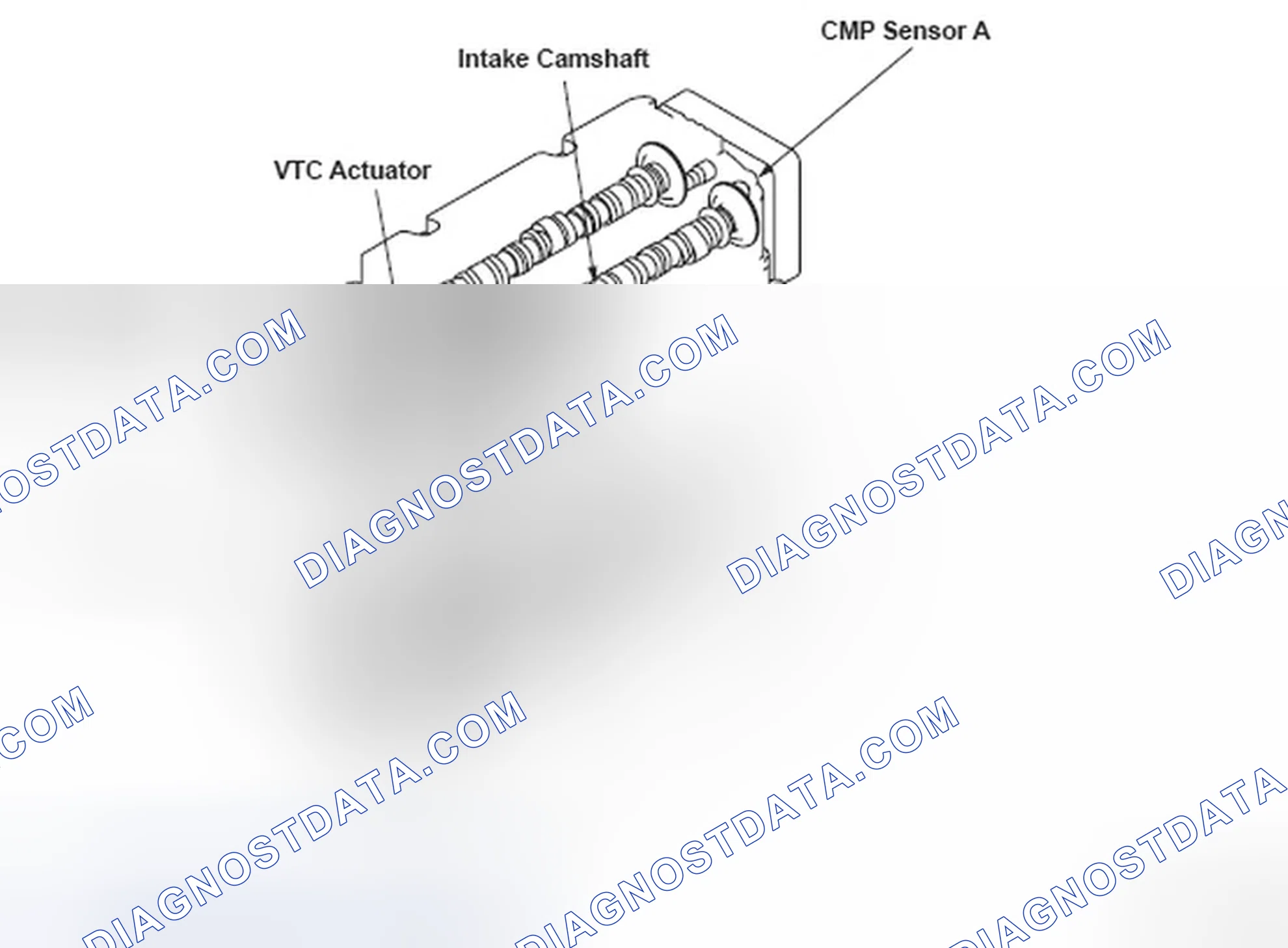Scheme 293: Identifying Oil Control Solenoid Valve And CKP Sensor