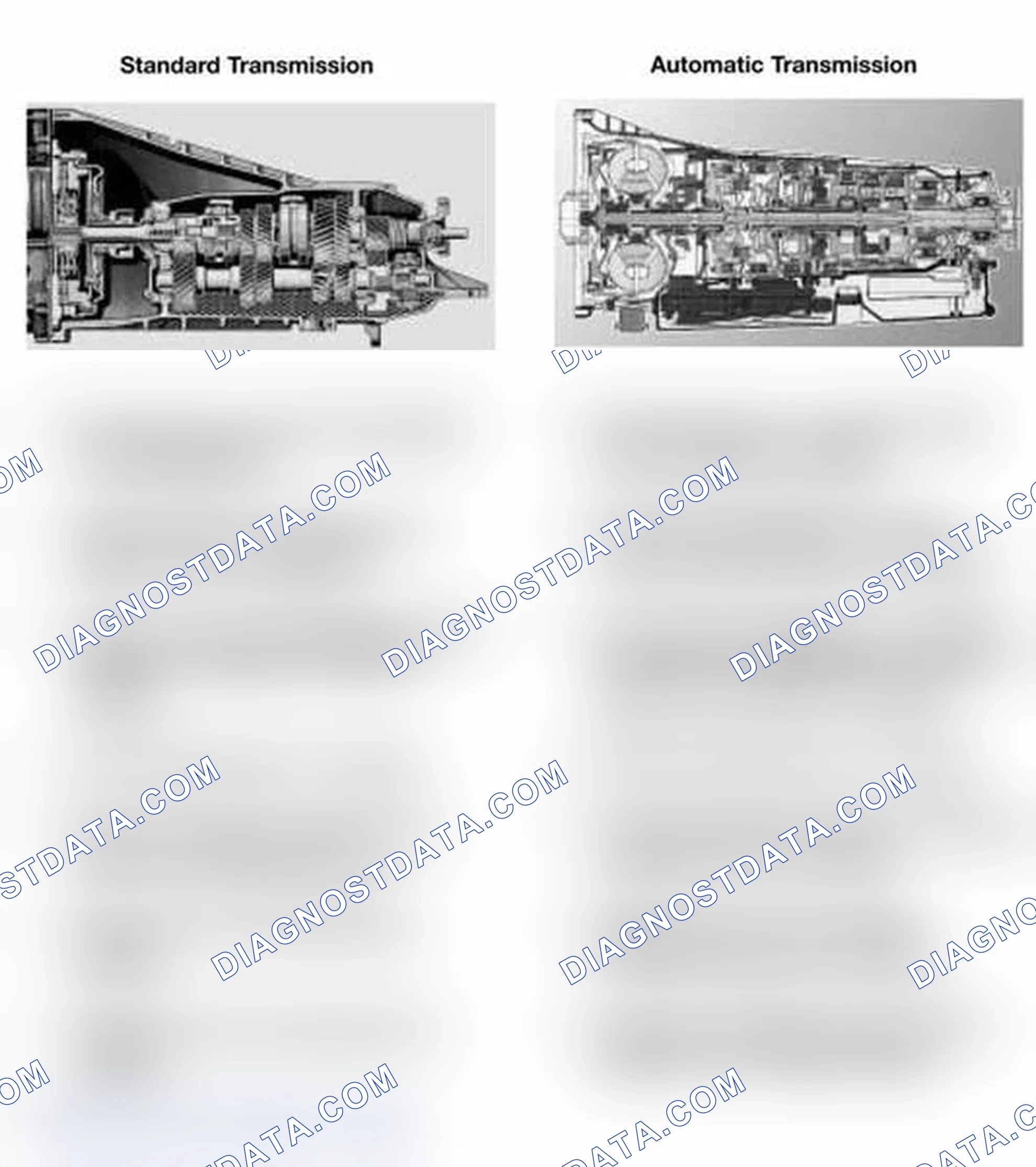 Scheme 1: STANDARD/AUTOMATIC TRANSMISSION