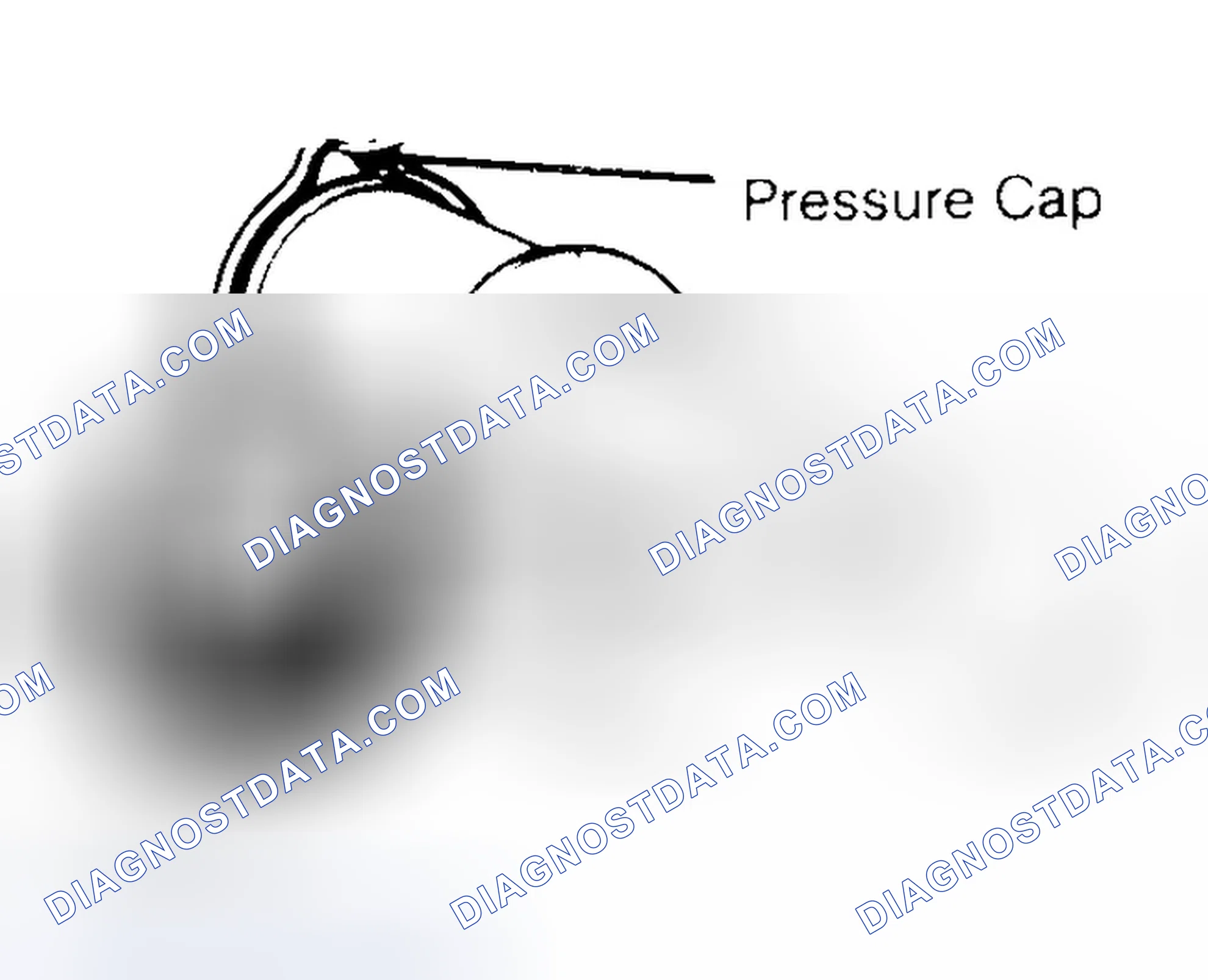 Scheme 2: Pressure Testing Radiator Cap