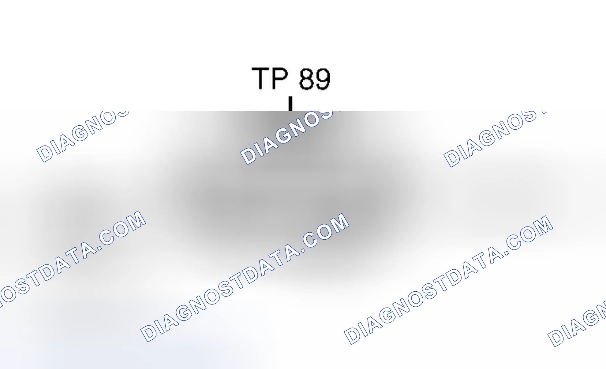 Scheme 67