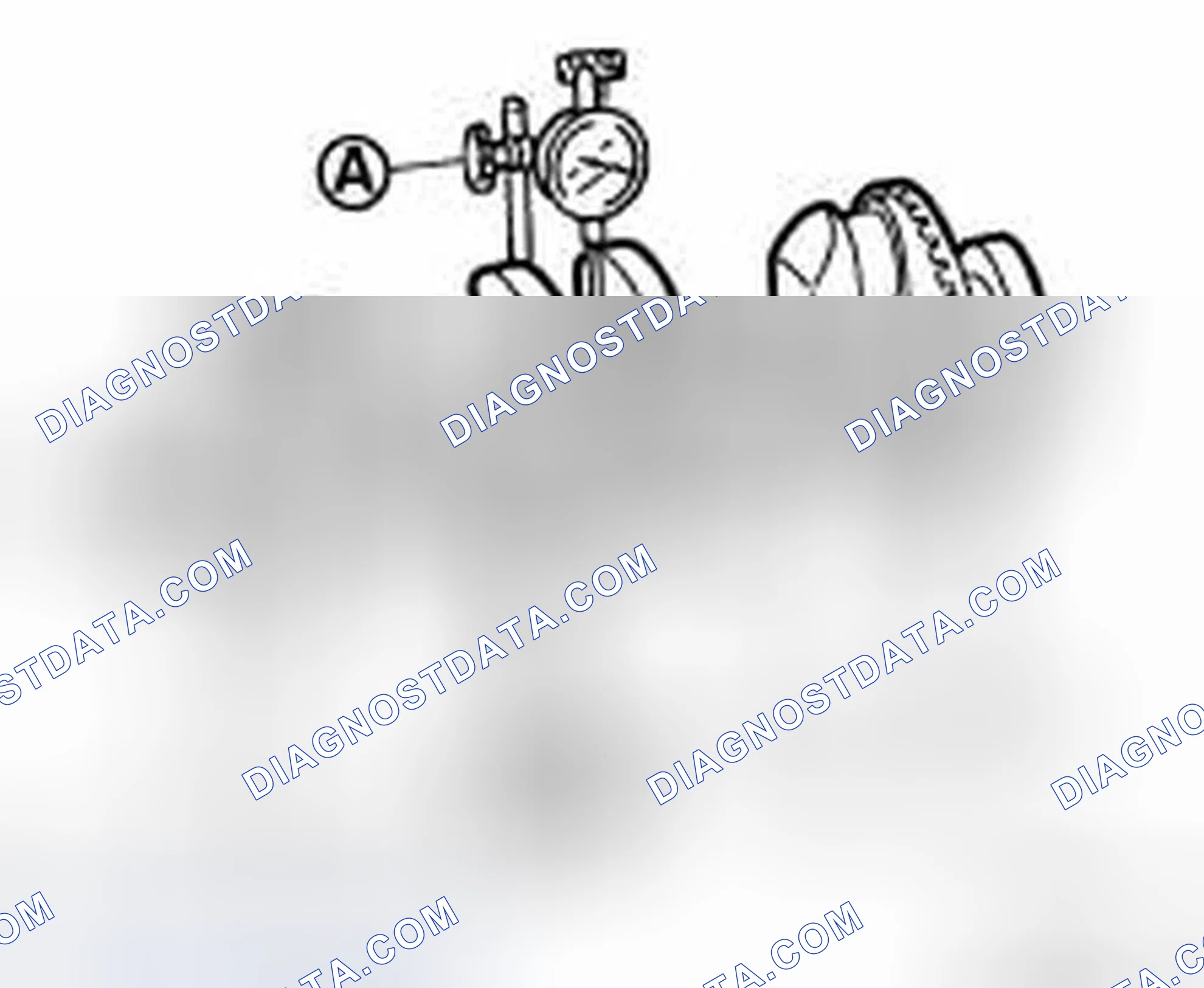 Scheme 242: CRANKSHAFT RUNOUT