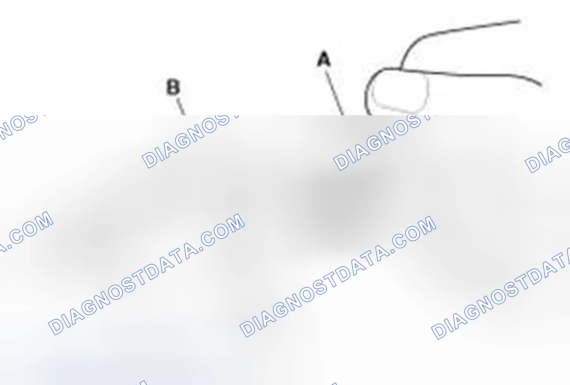 Scheme 8