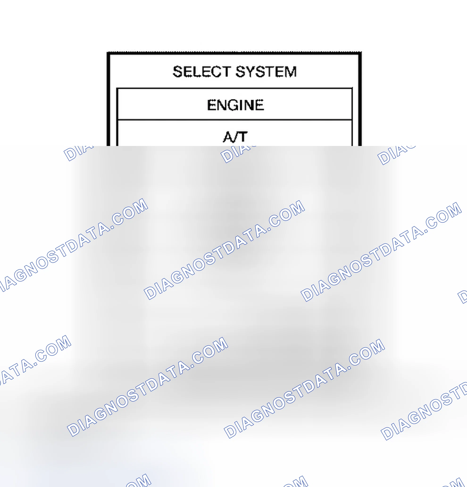 Scheme 61: Diagnostic Procedure
