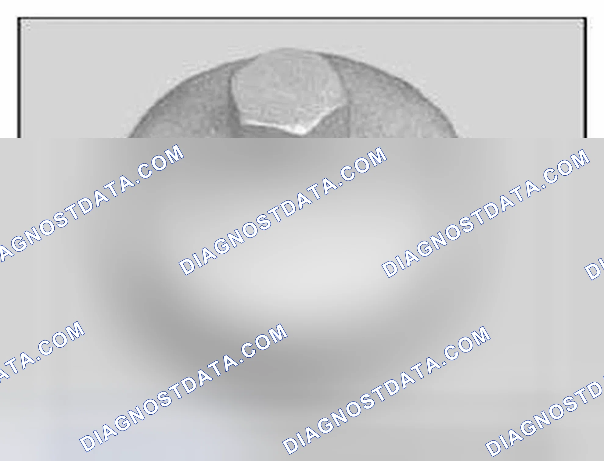 Scheme 370: Identifying Oil Filter Wrench
