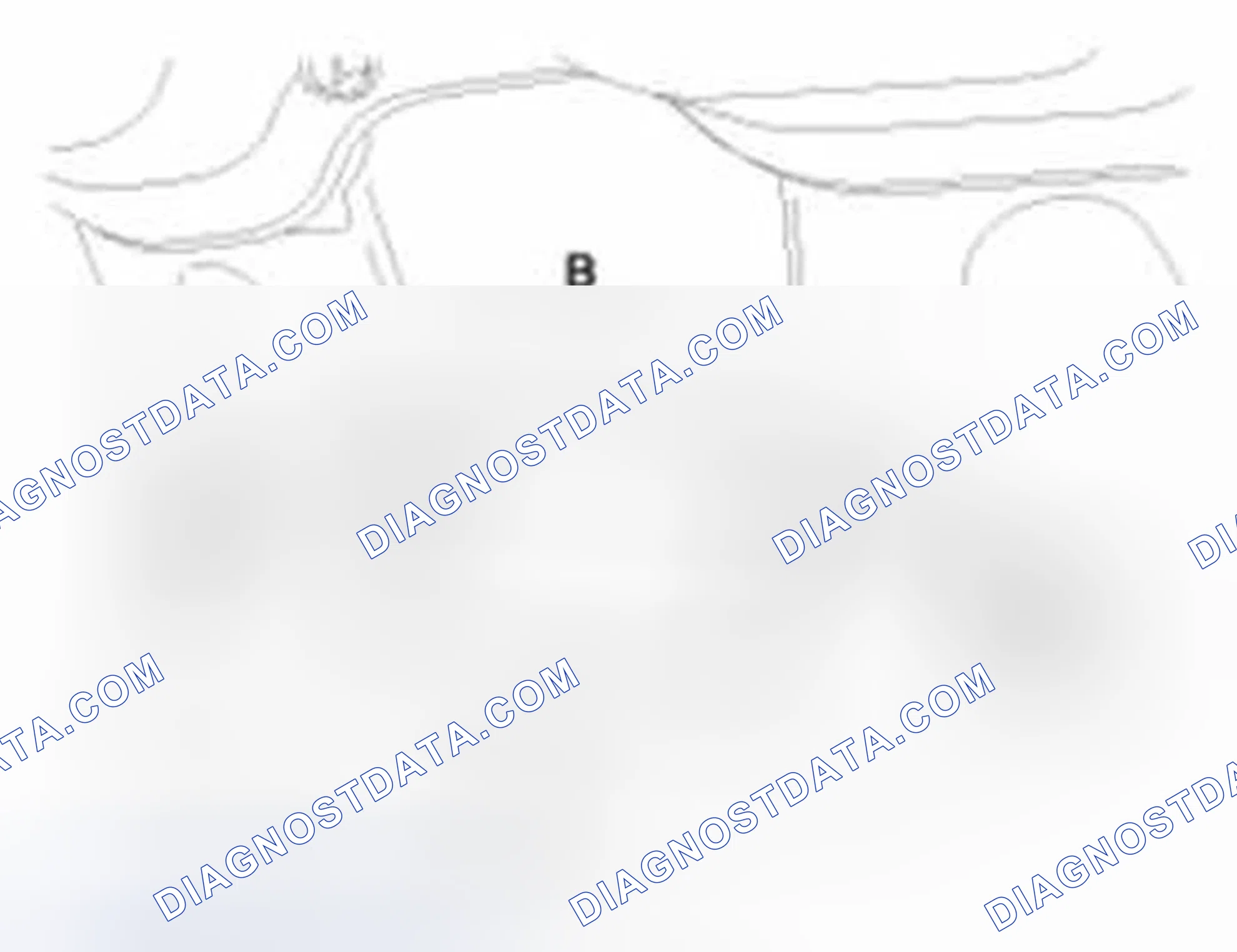 Scheme 83