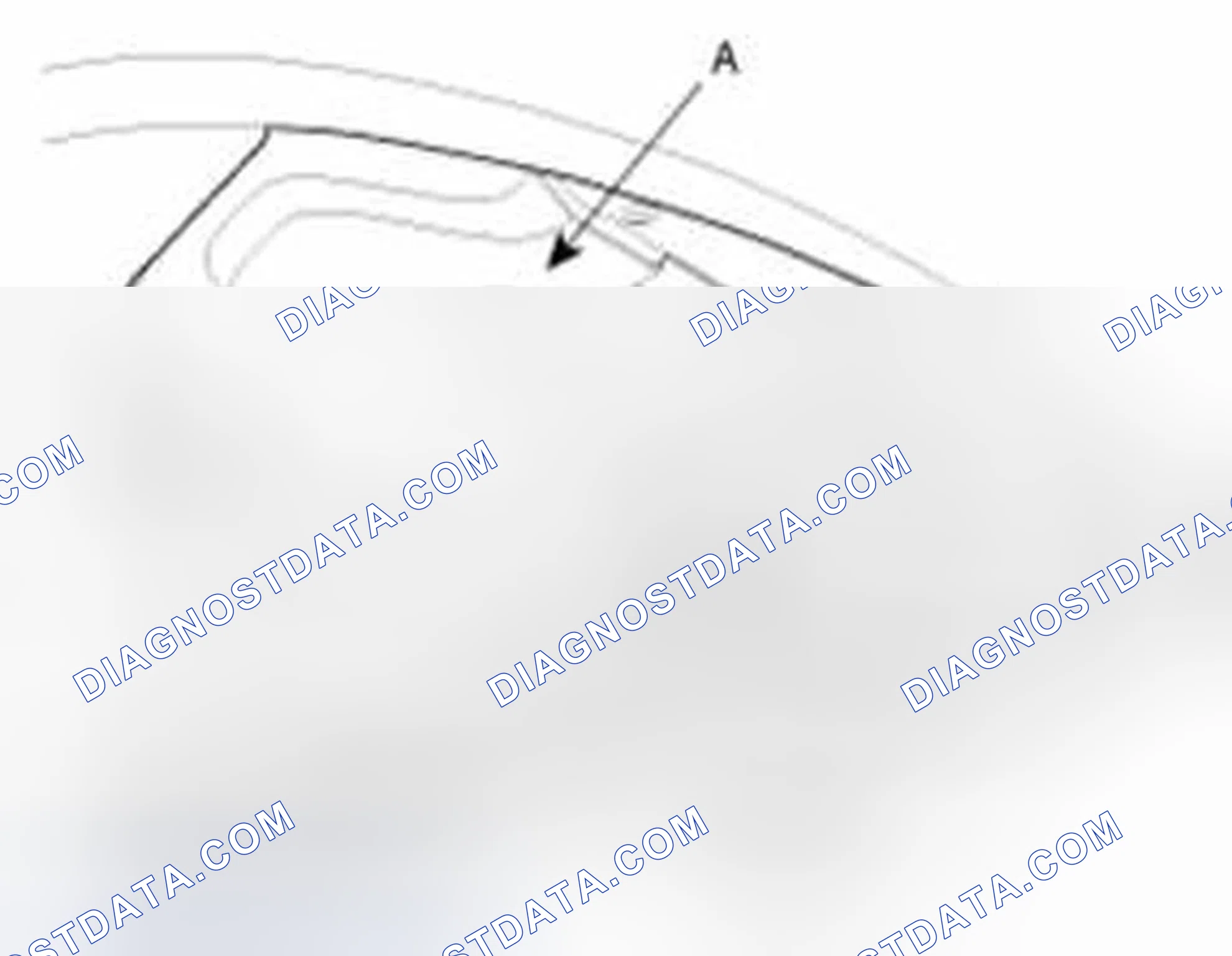 Scheme 567