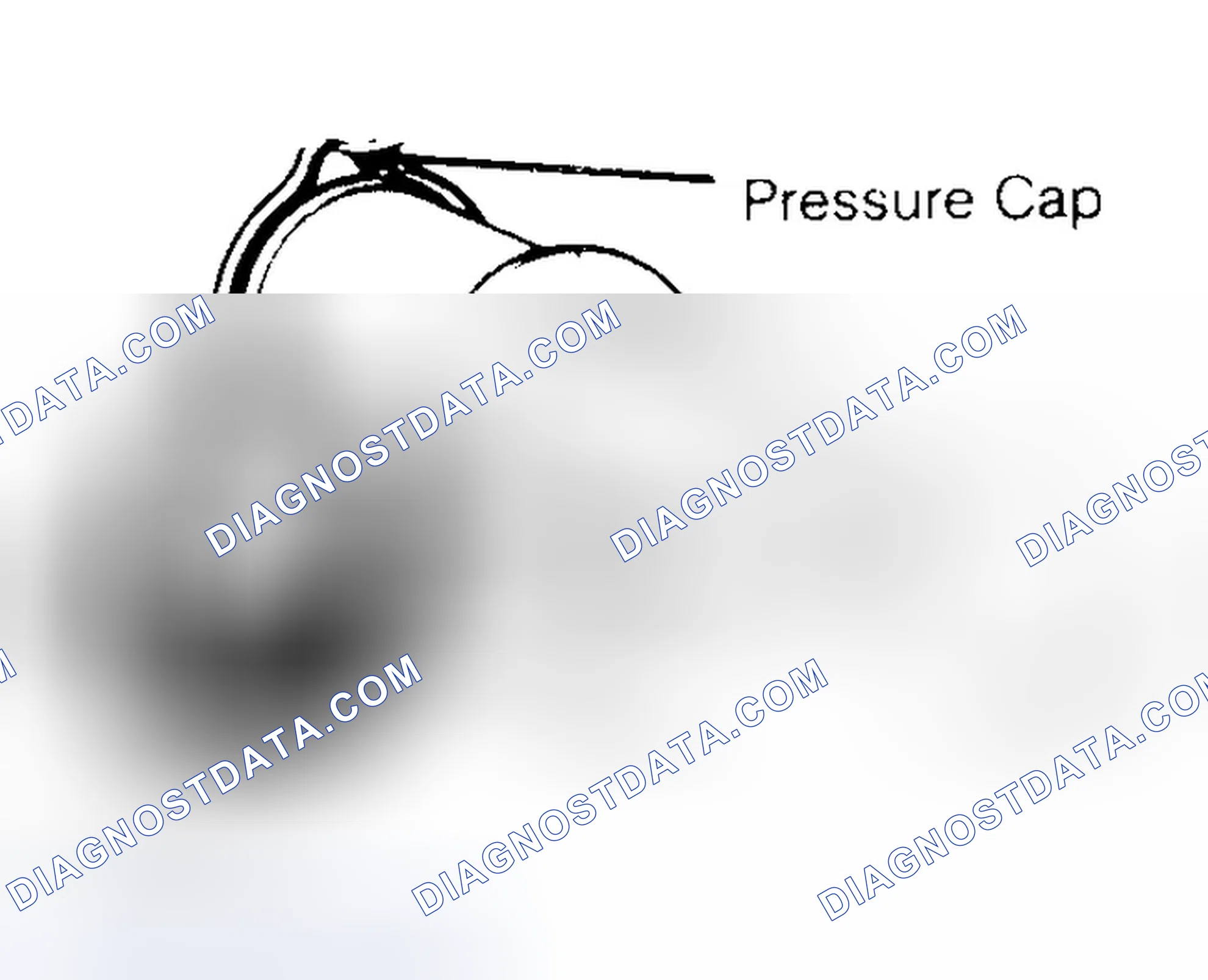 Scheme 2: Pressure Testing Radiator Cap