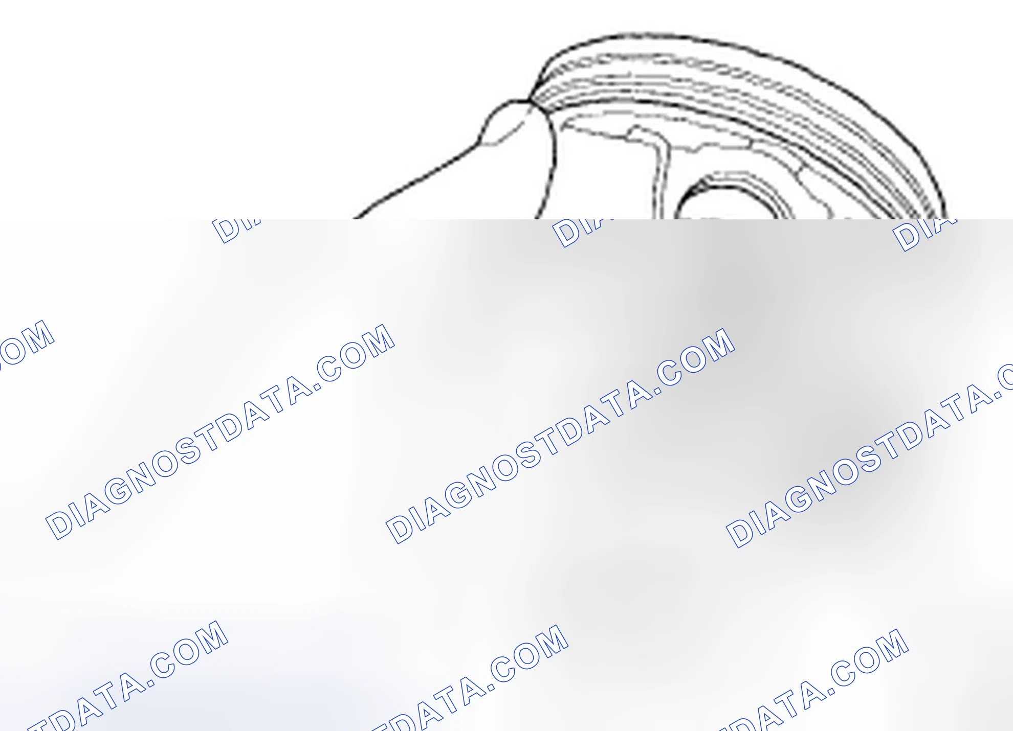 Scheme 321: Reassembly