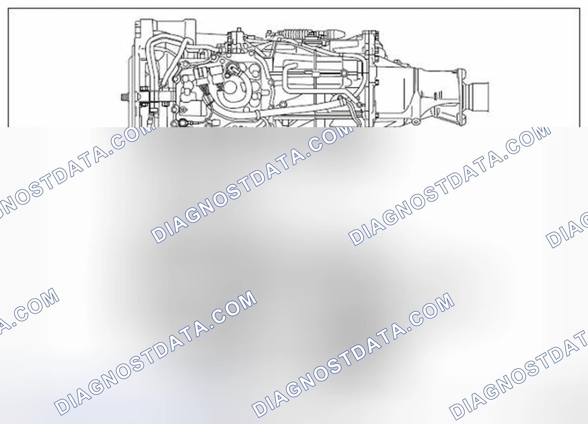 Scheme 335