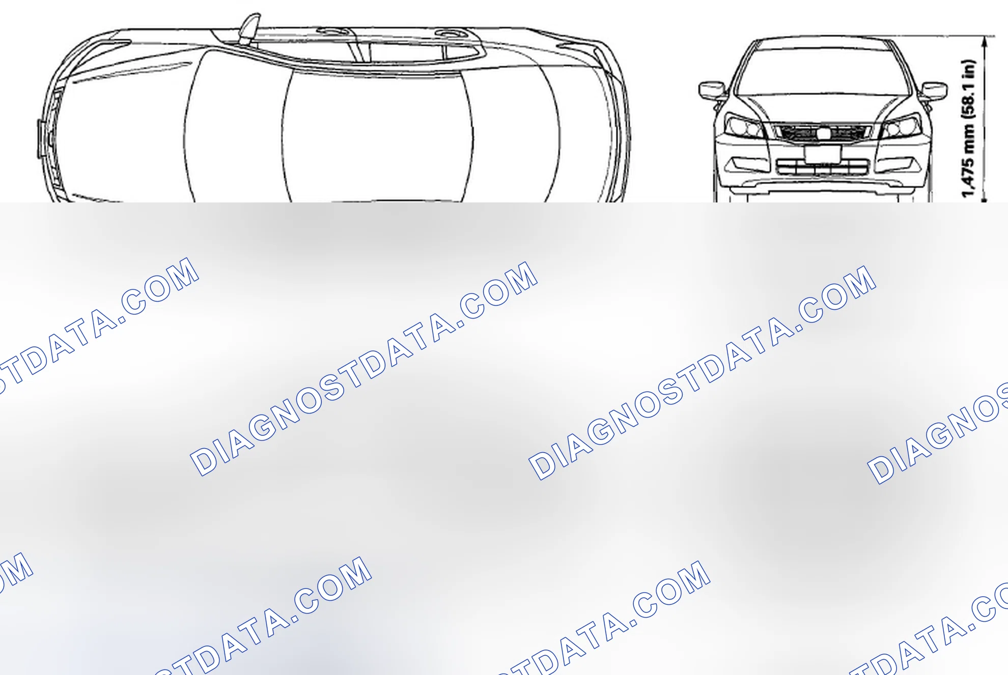 Scheme 1: Body Specifications